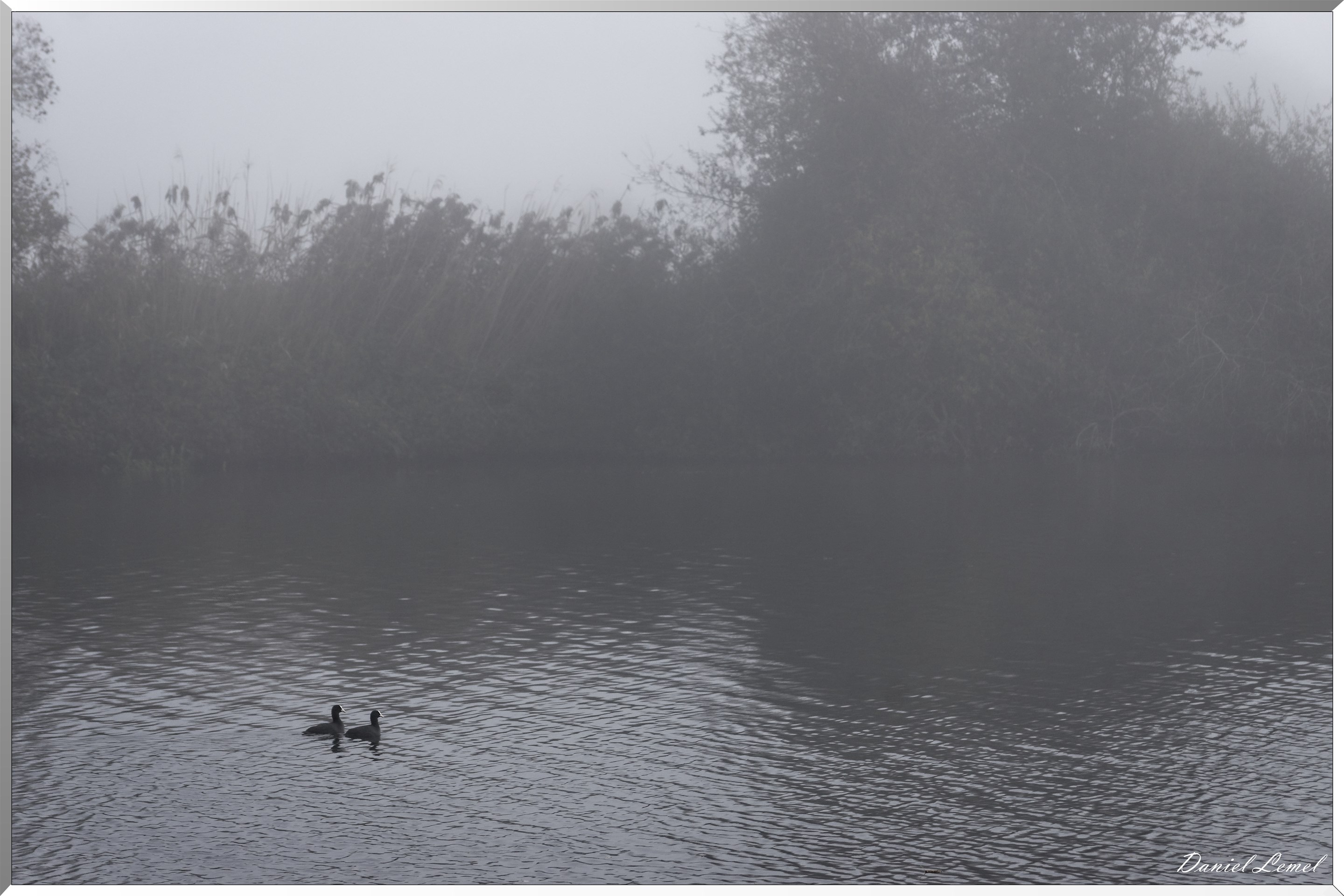 Saint-Pierre-de-Bailleul