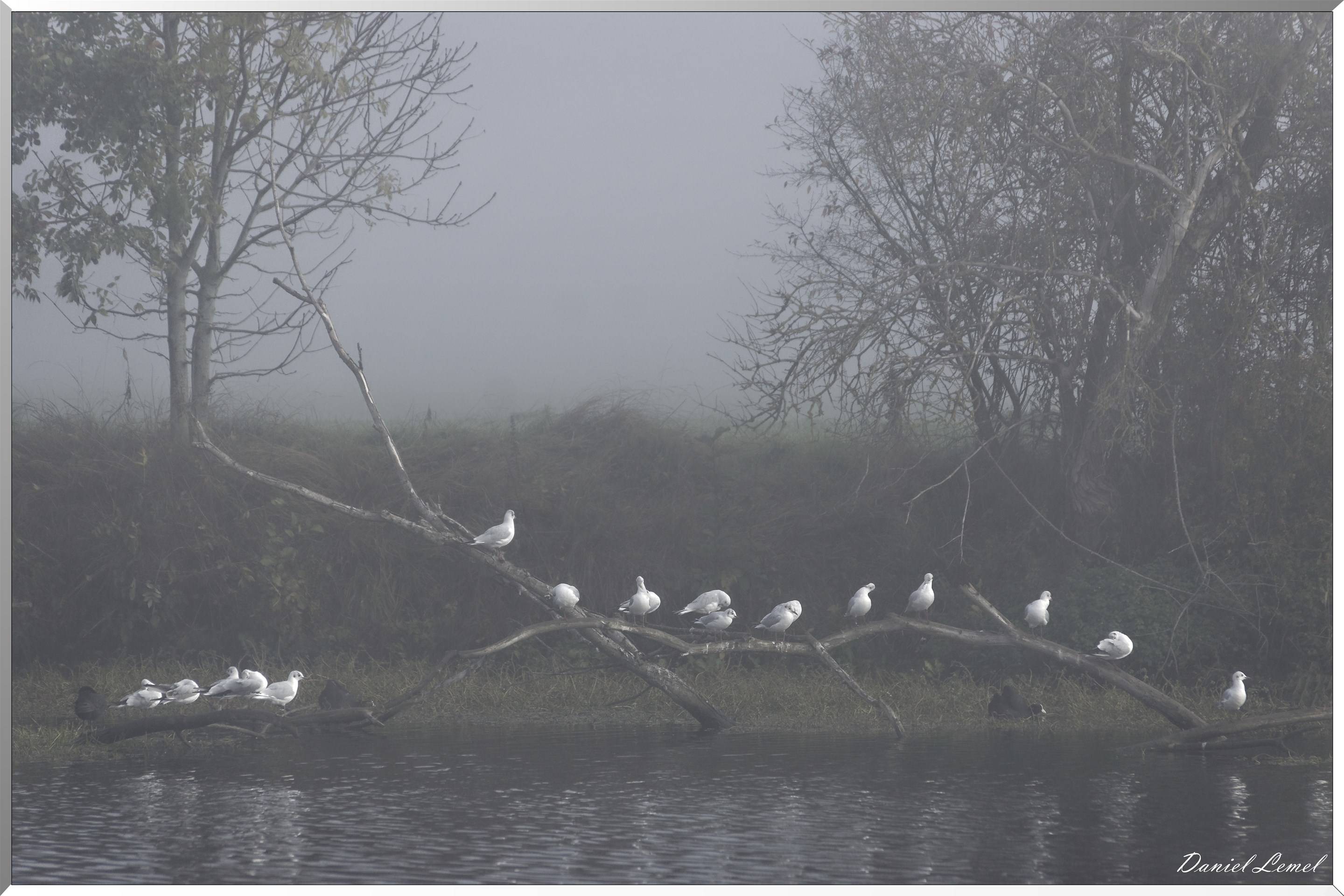 Saint-Pierre-de-Bailleul