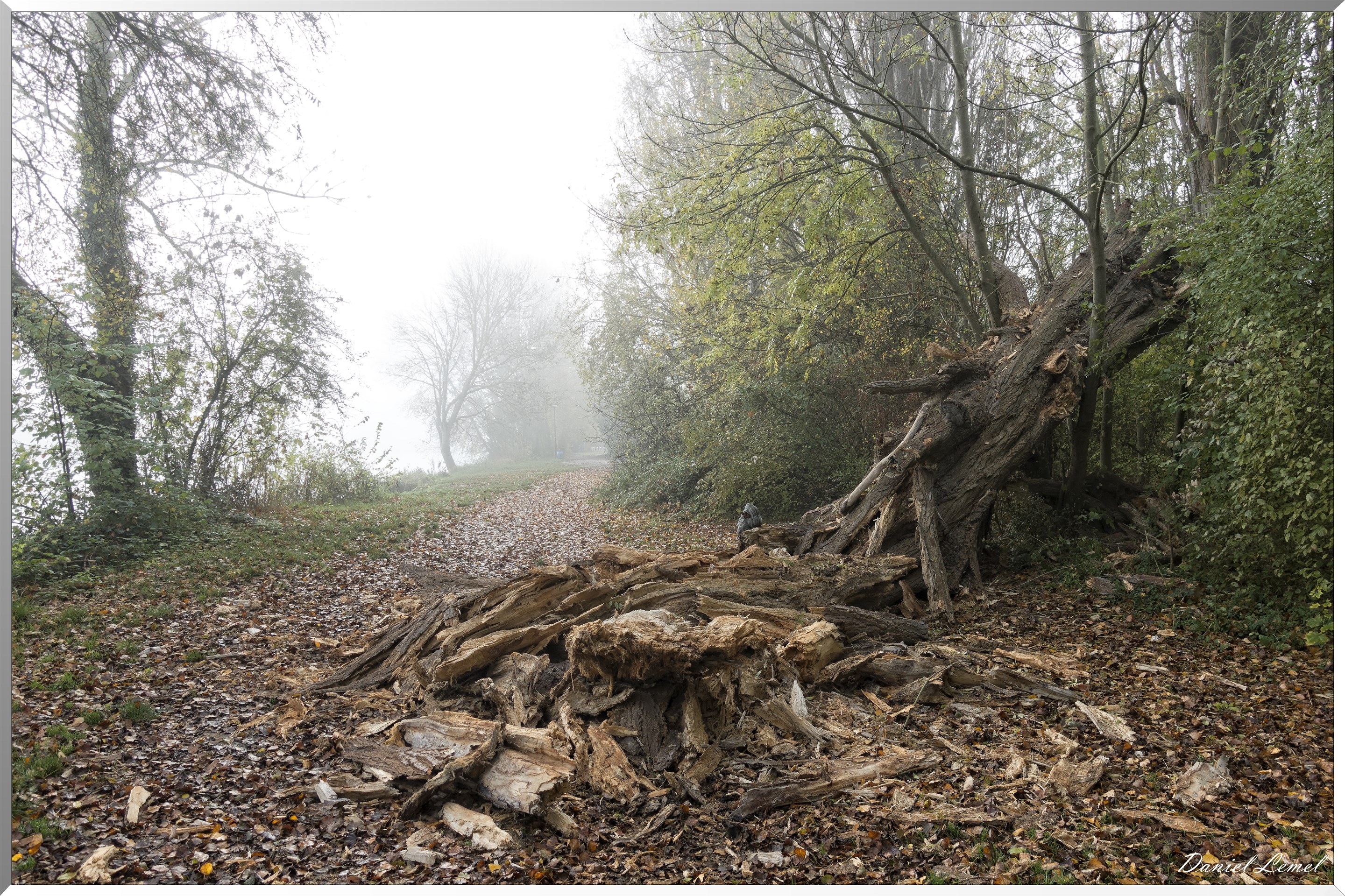 Saint-Pierre-de-Bailleul