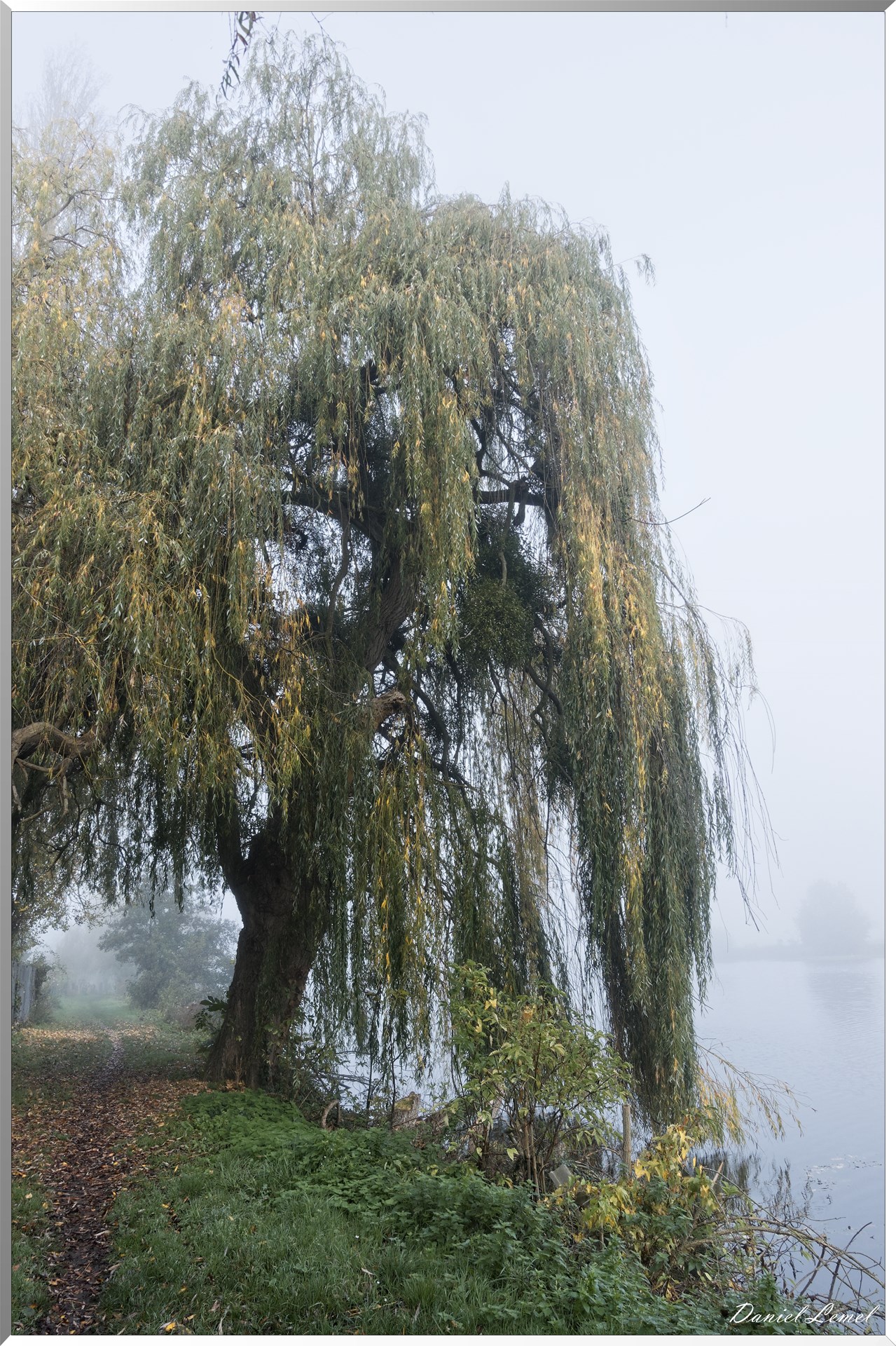 Saint-Pierre-de-Bailleul