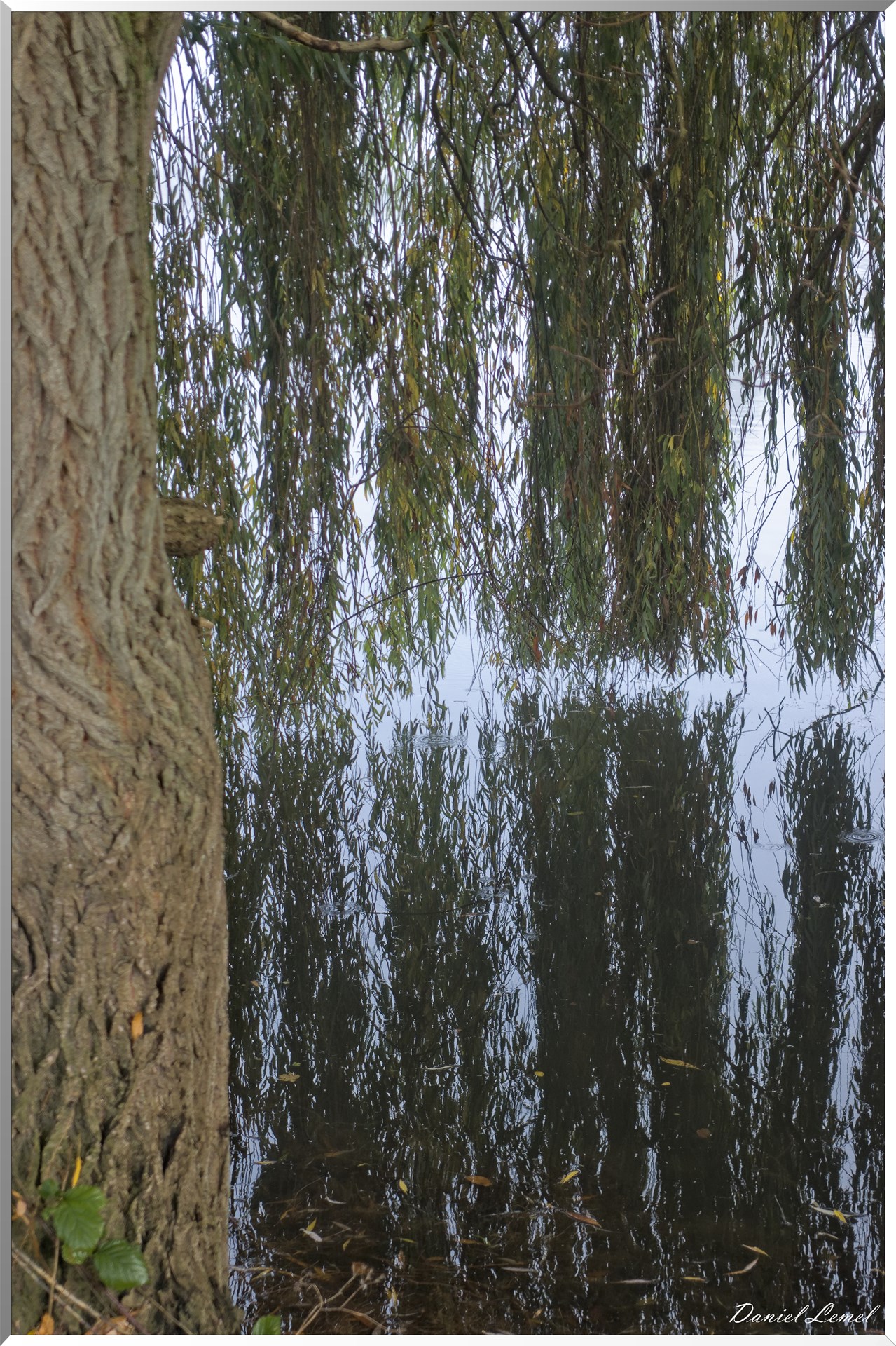 Saint-Pierre-de-Bailleul