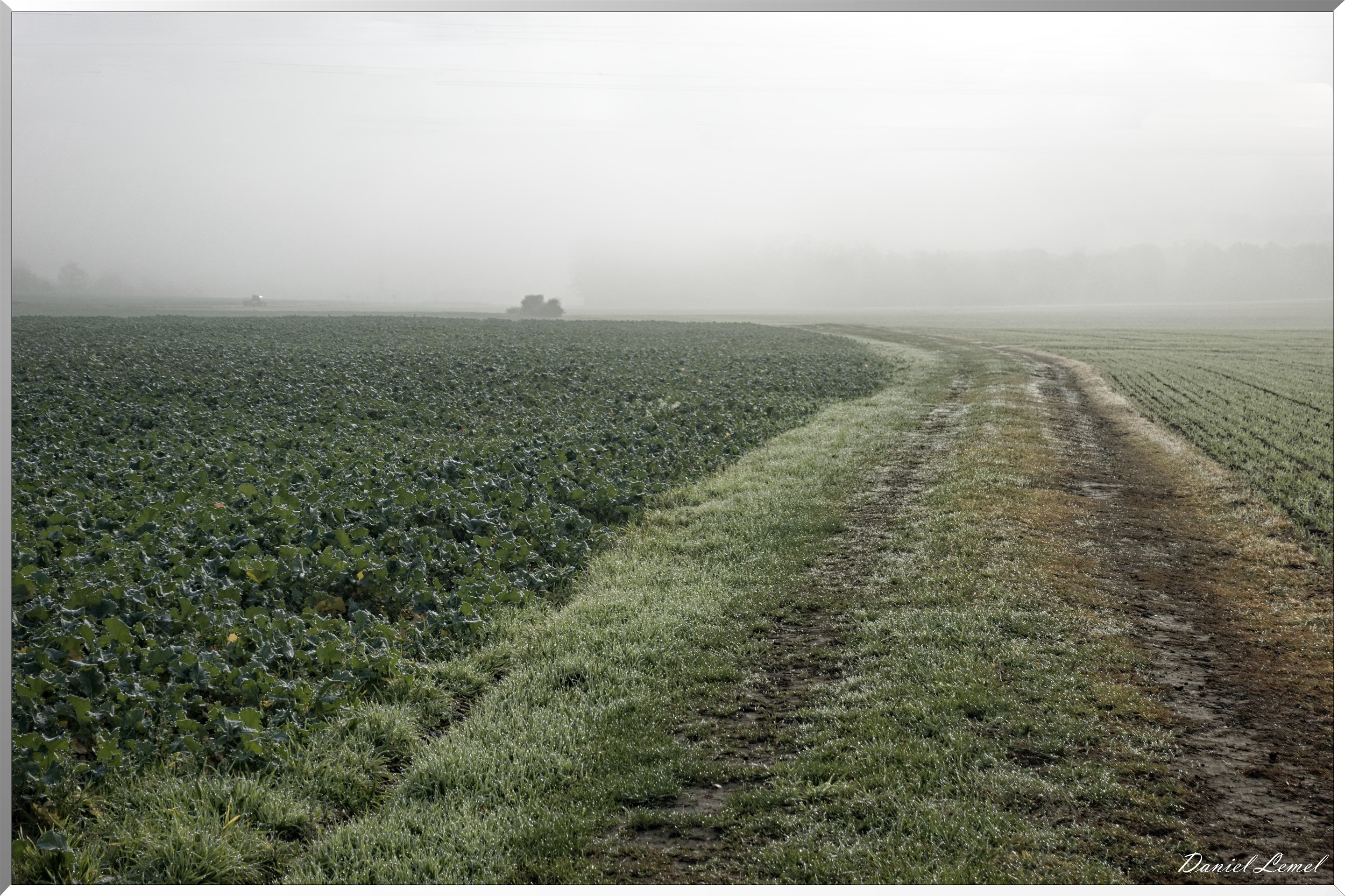 Saint-Pierre-de-Bailleul