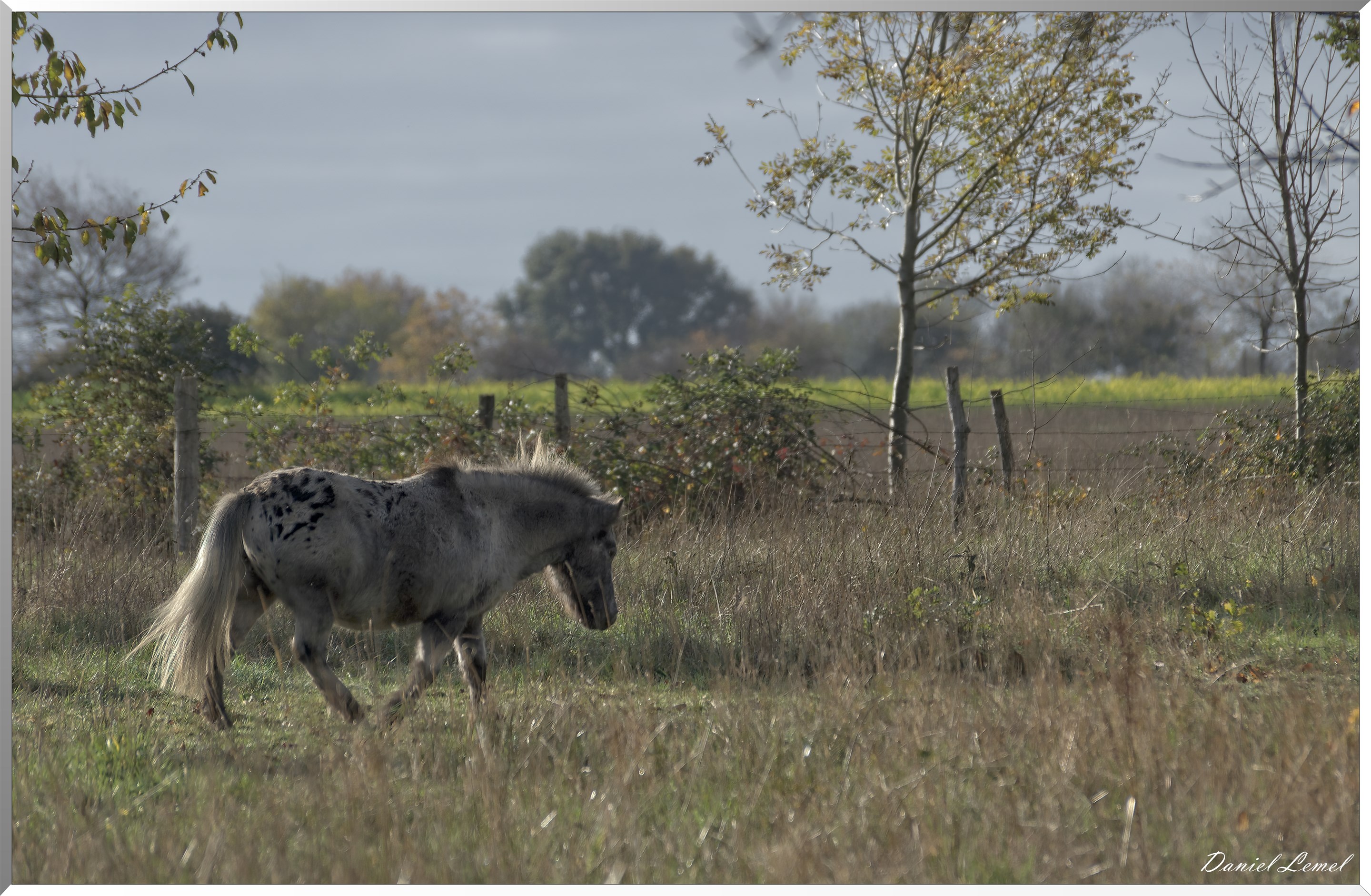 Saint-Pierre-de-Bailleul