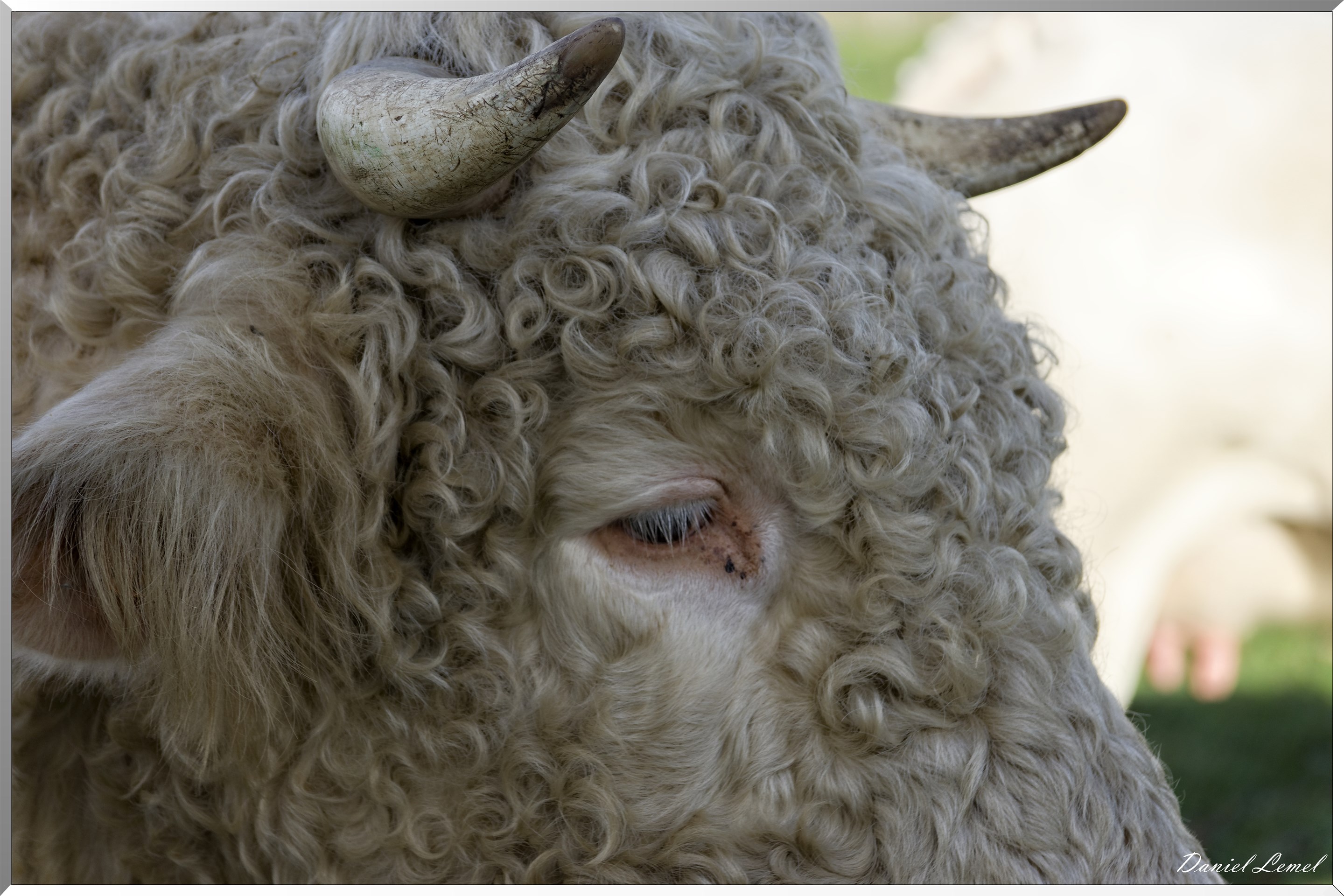 Saint-Pierre-de-Bailleul