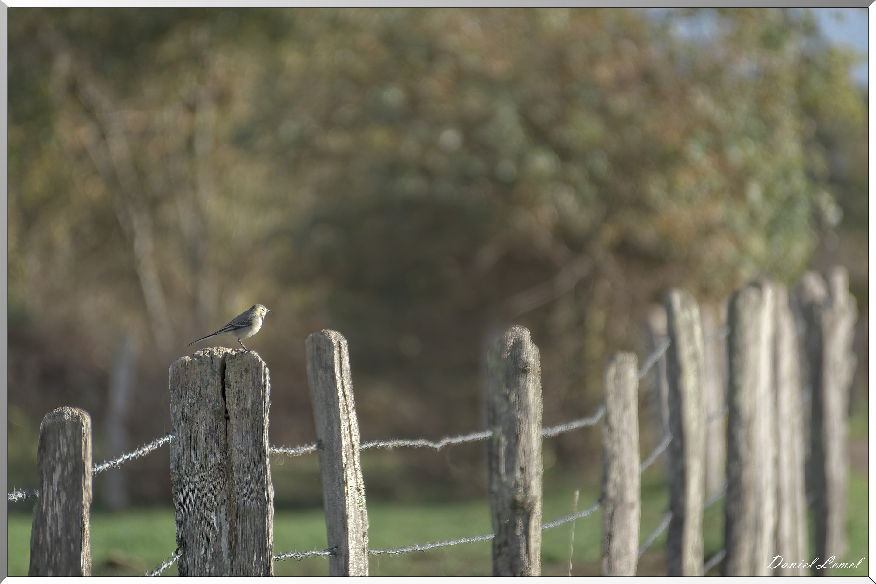 Saint-Pierre-de-Bailleul