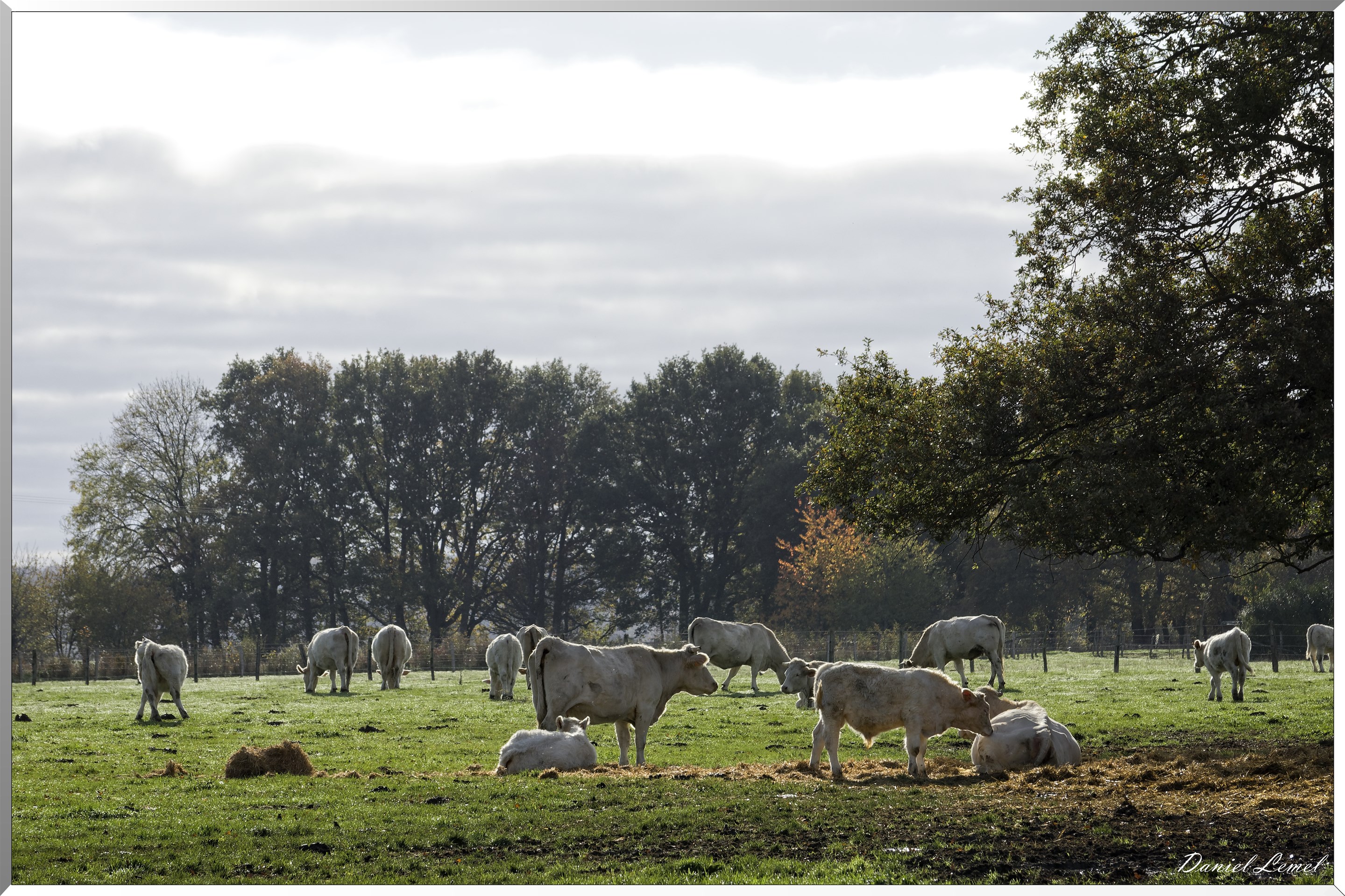 Saint-Pierre-de-Bailleul