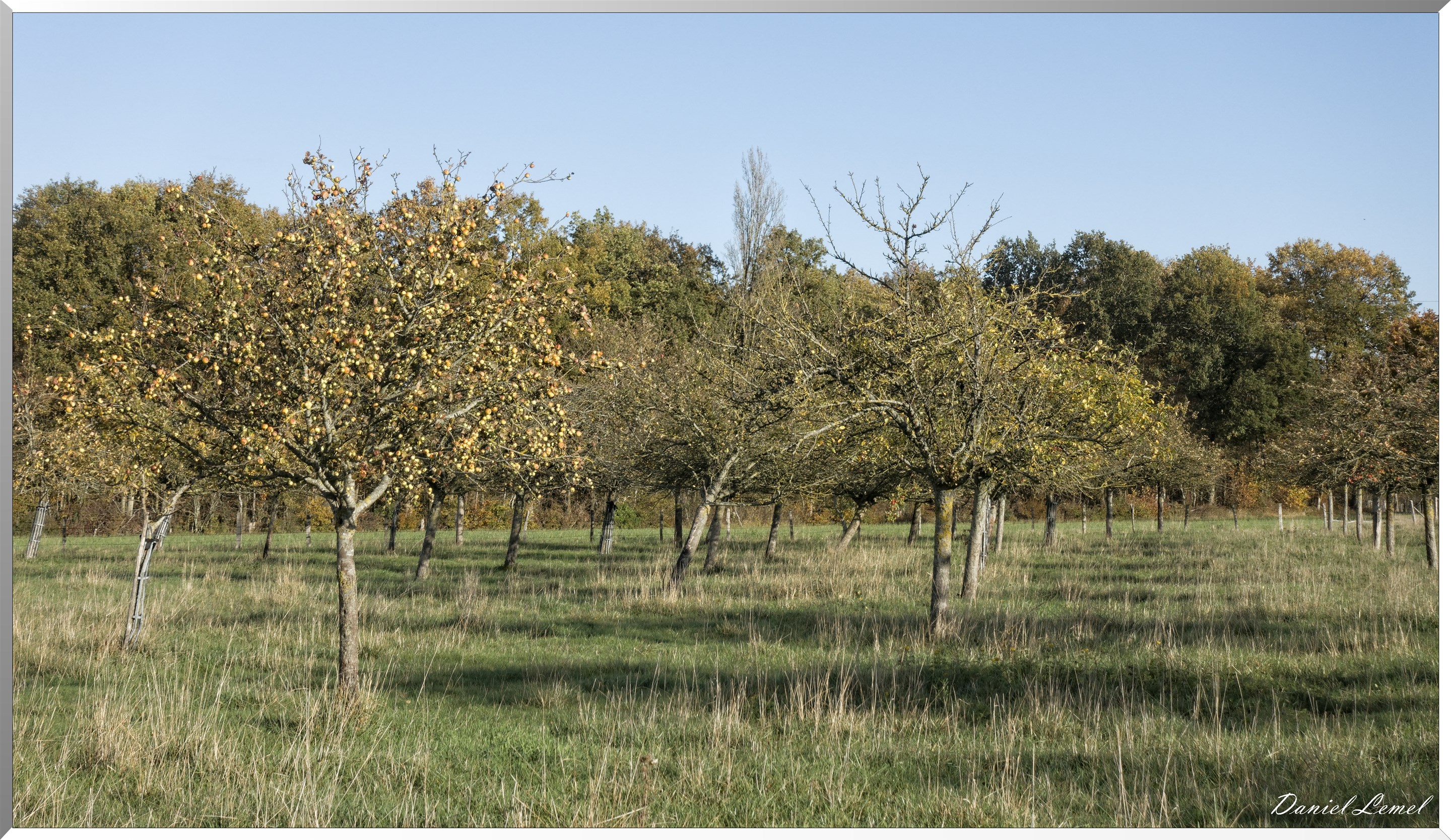 Saint-Pierre-de-Bailleul