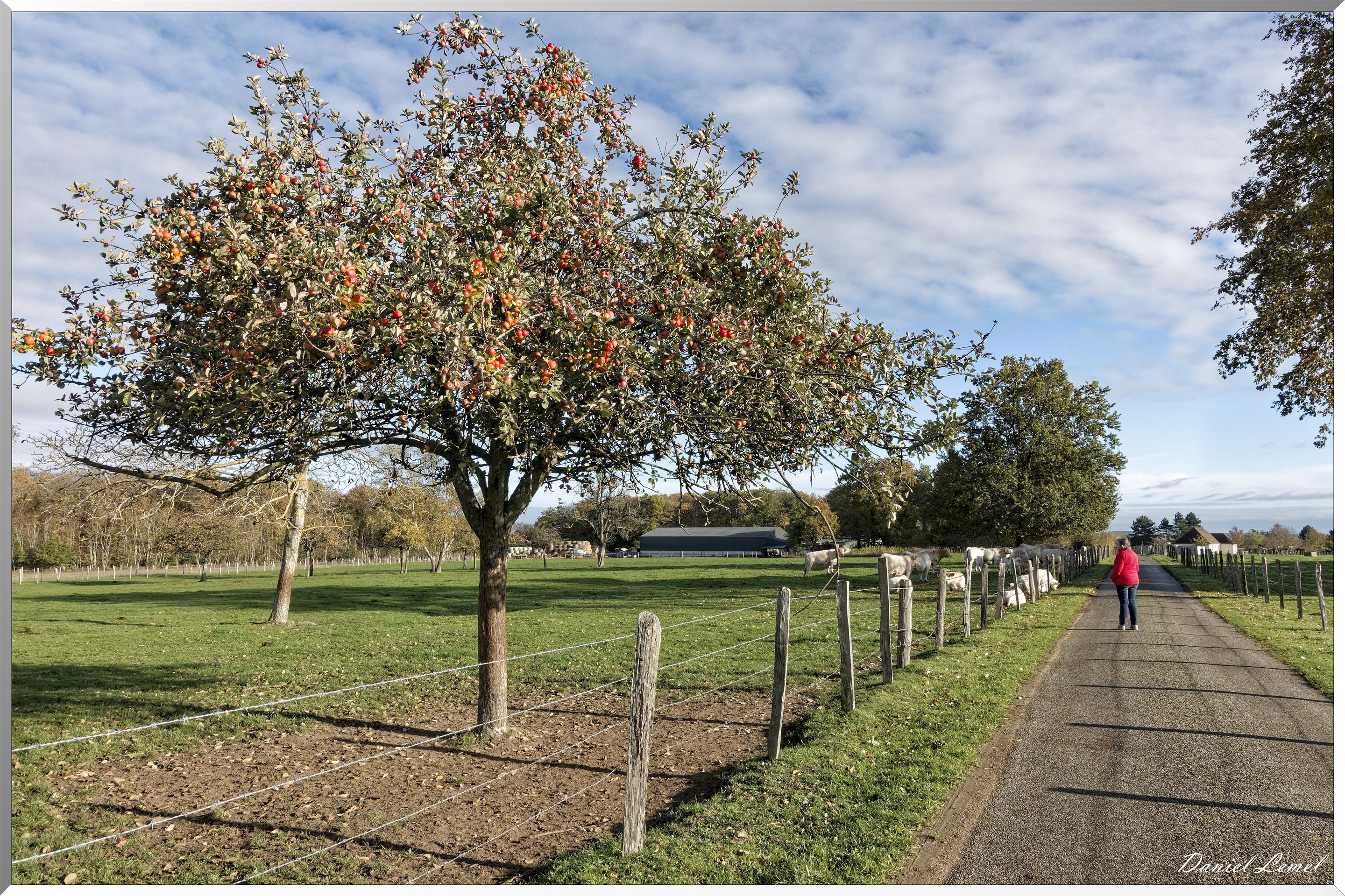 Saint-Pierre-de-Bailleul