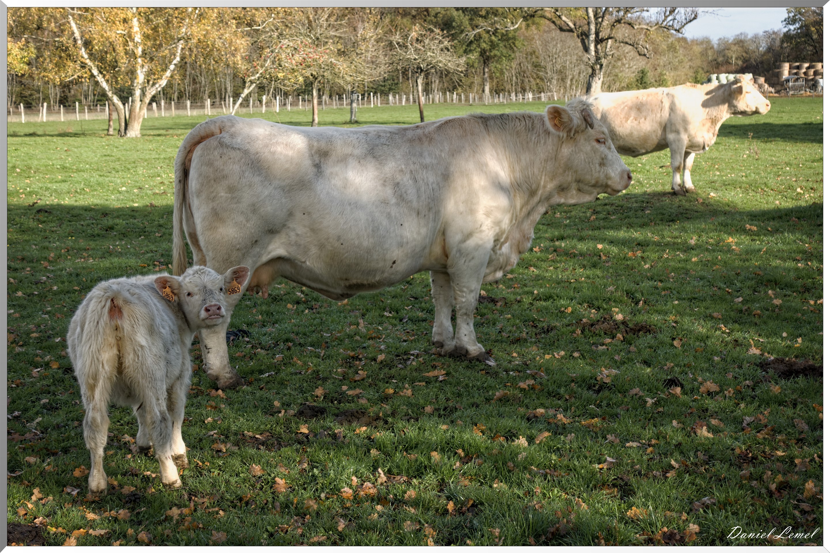 Saint-Pierre-de-Bailleul