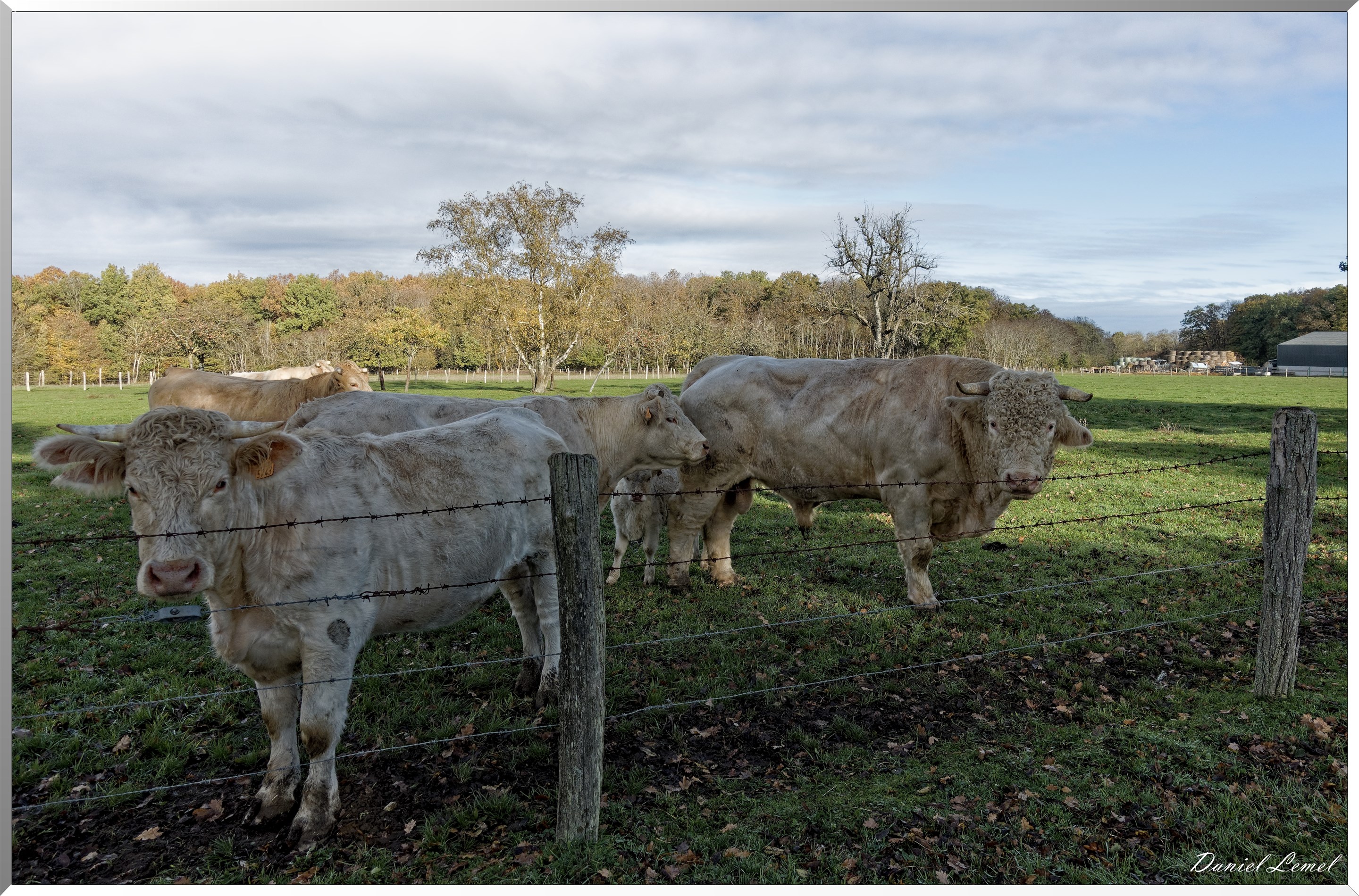 Saint-Pierre-de-Bailleul