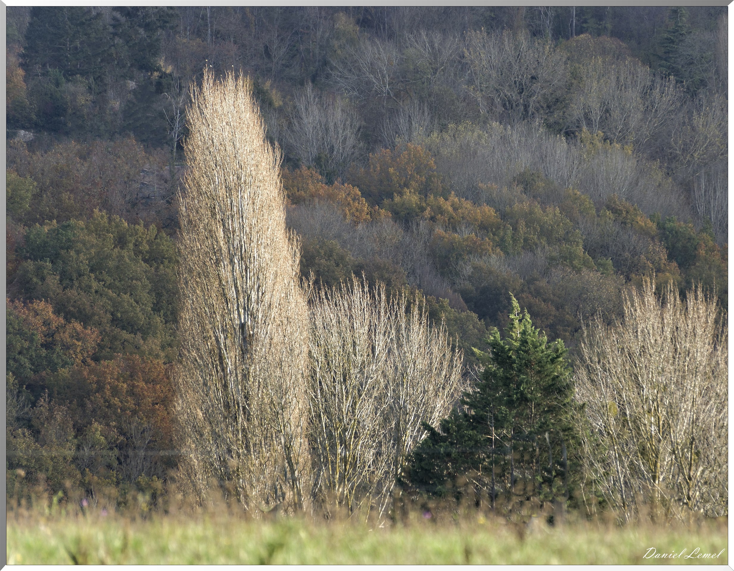 Saint-Pierre-de-Bailleul