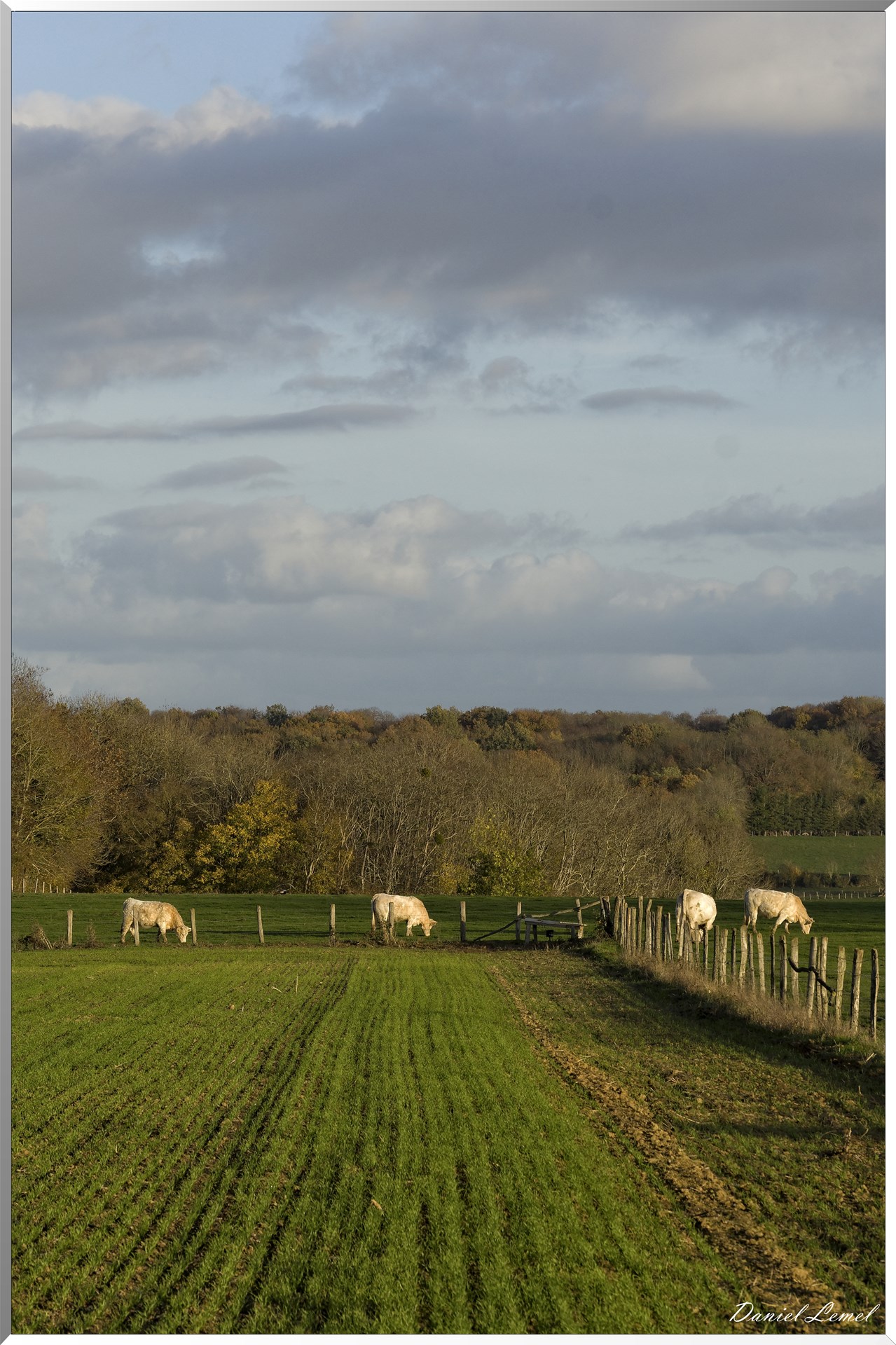 Saint-Pierre-de-Bailleul