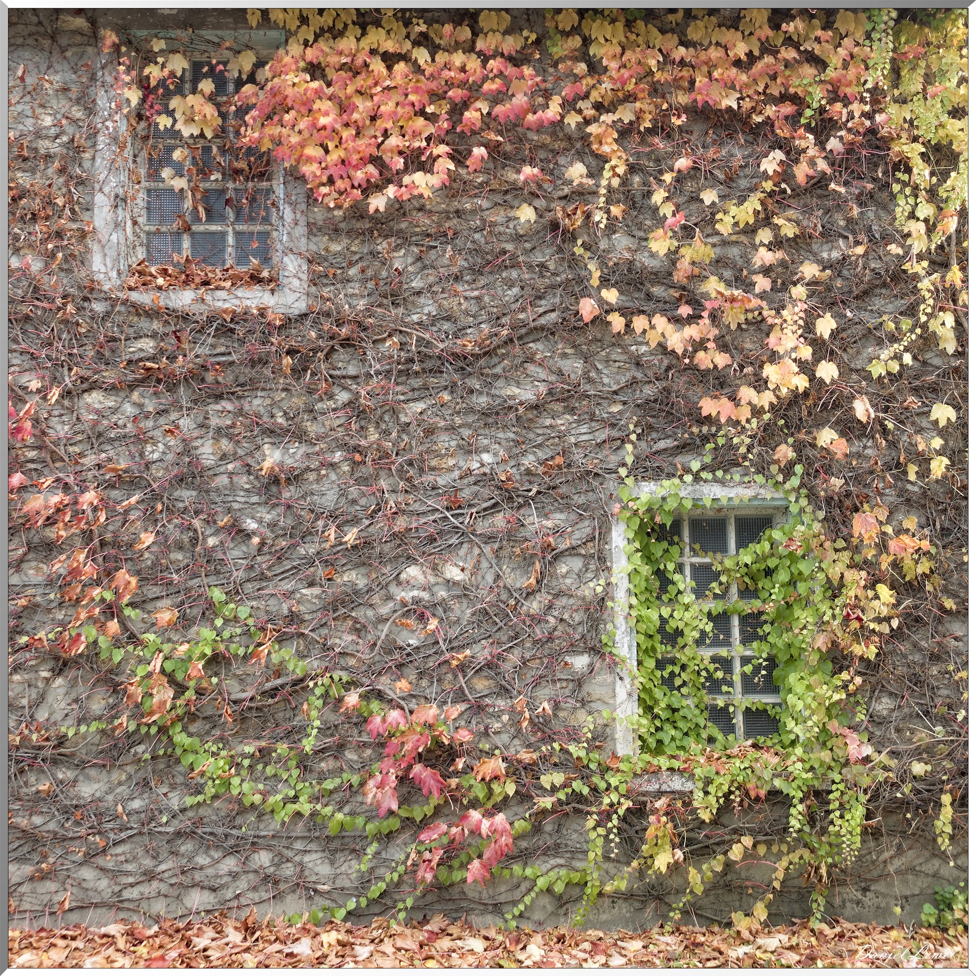 Saint-Pierre-de-Bailleul