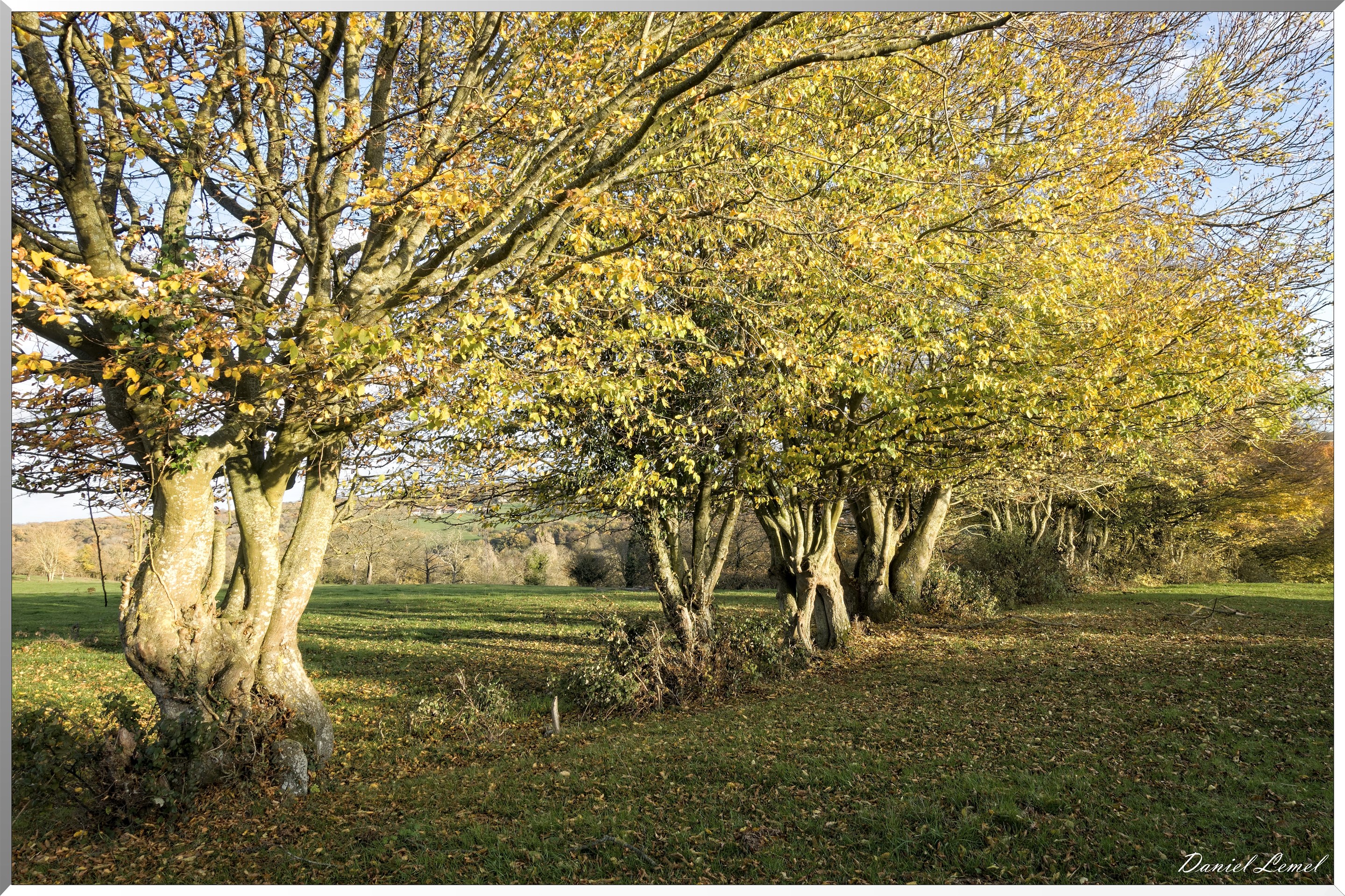 Saint-Pierre-de-Bailleul