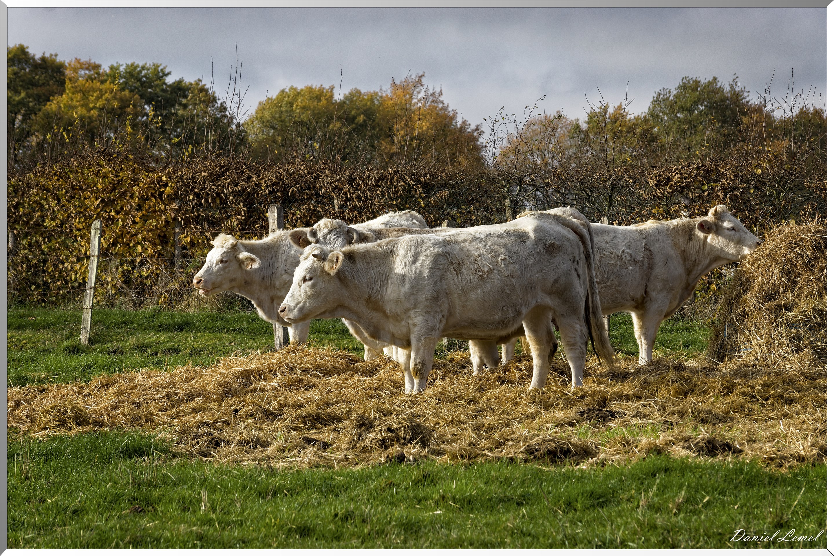 Saint-Pierre-de-Bailleul