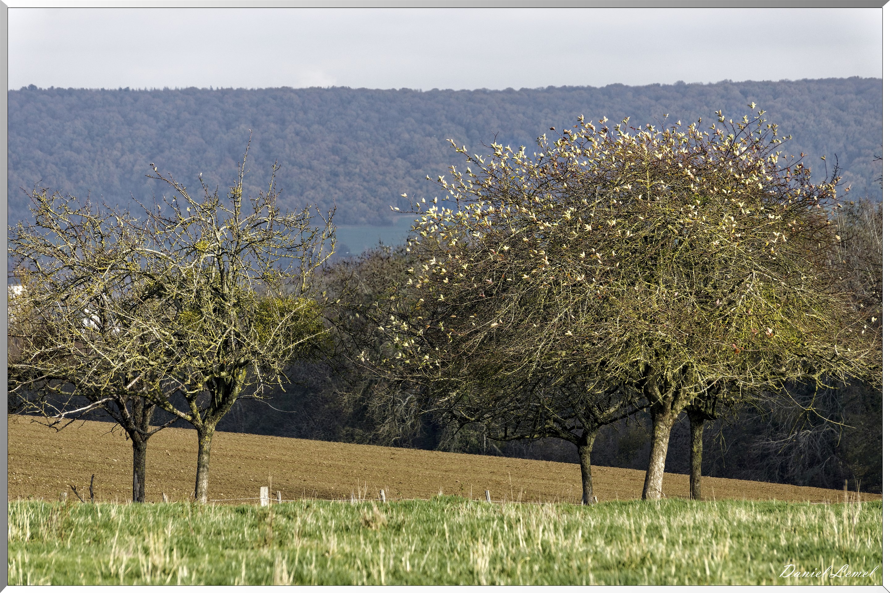 Saint-Pierre-de-Bailleul