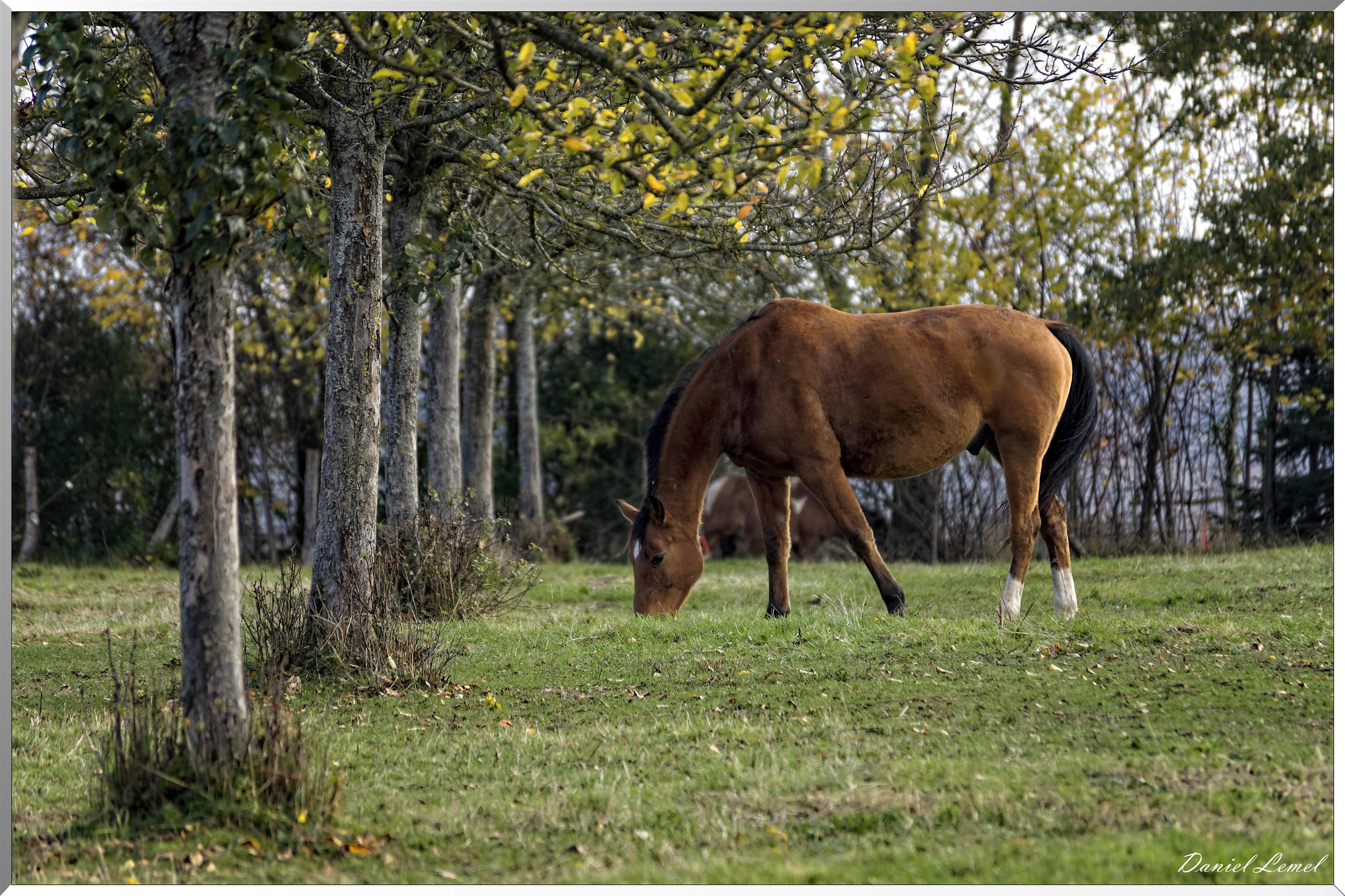 Saint-Pierre-de-Bailleul