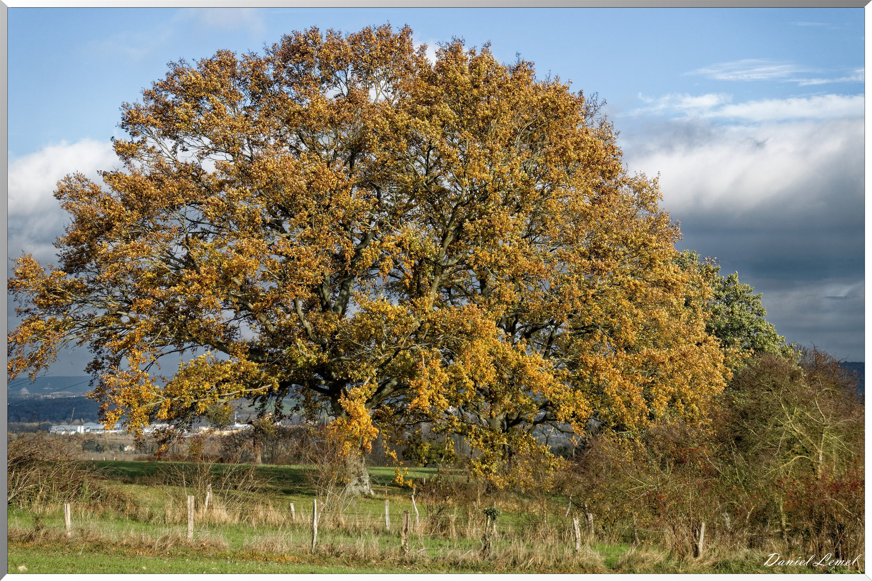 Saint-Pierre-de-Bailleul