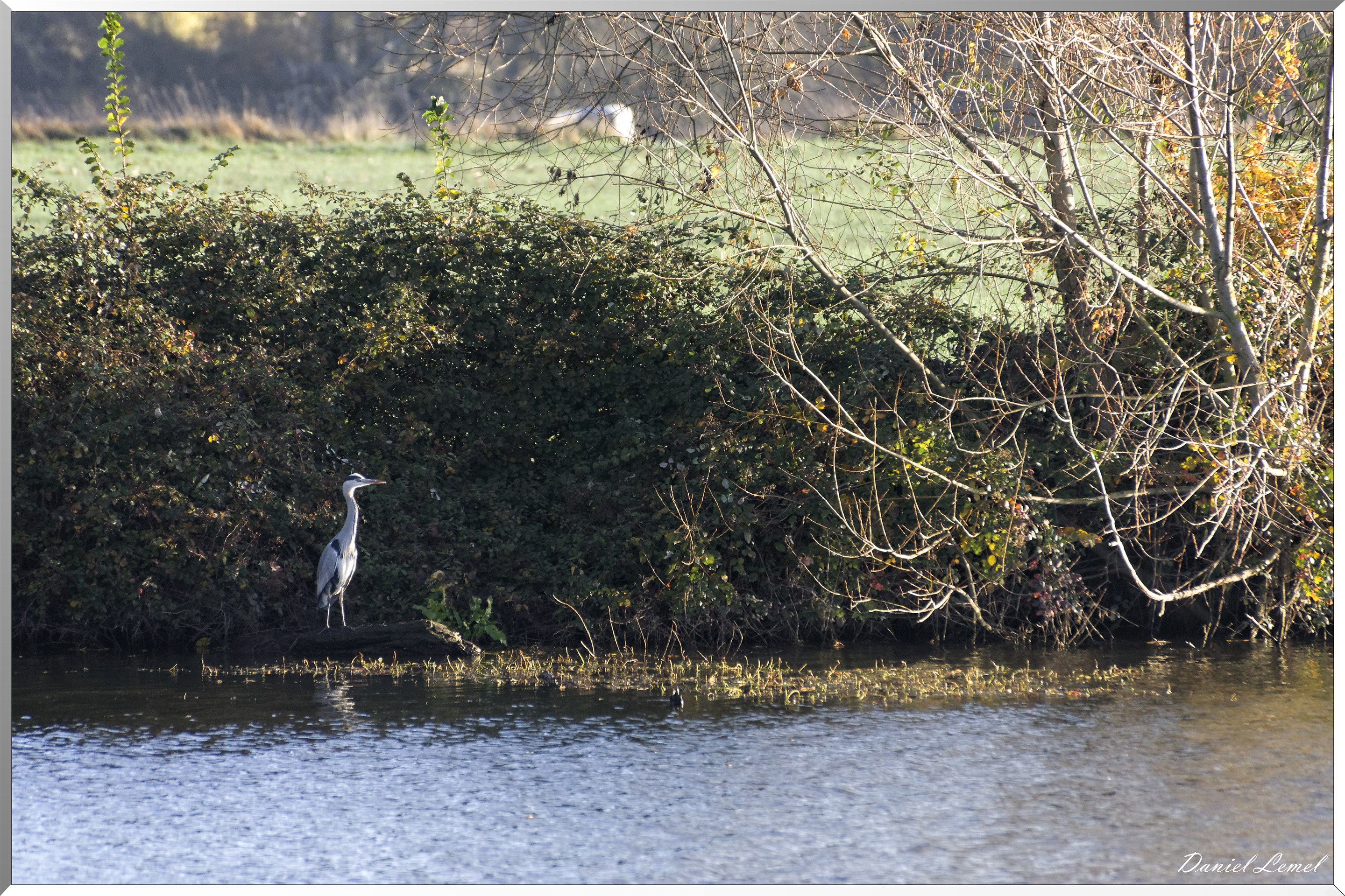 Saint-Pierre-de-Bailleul