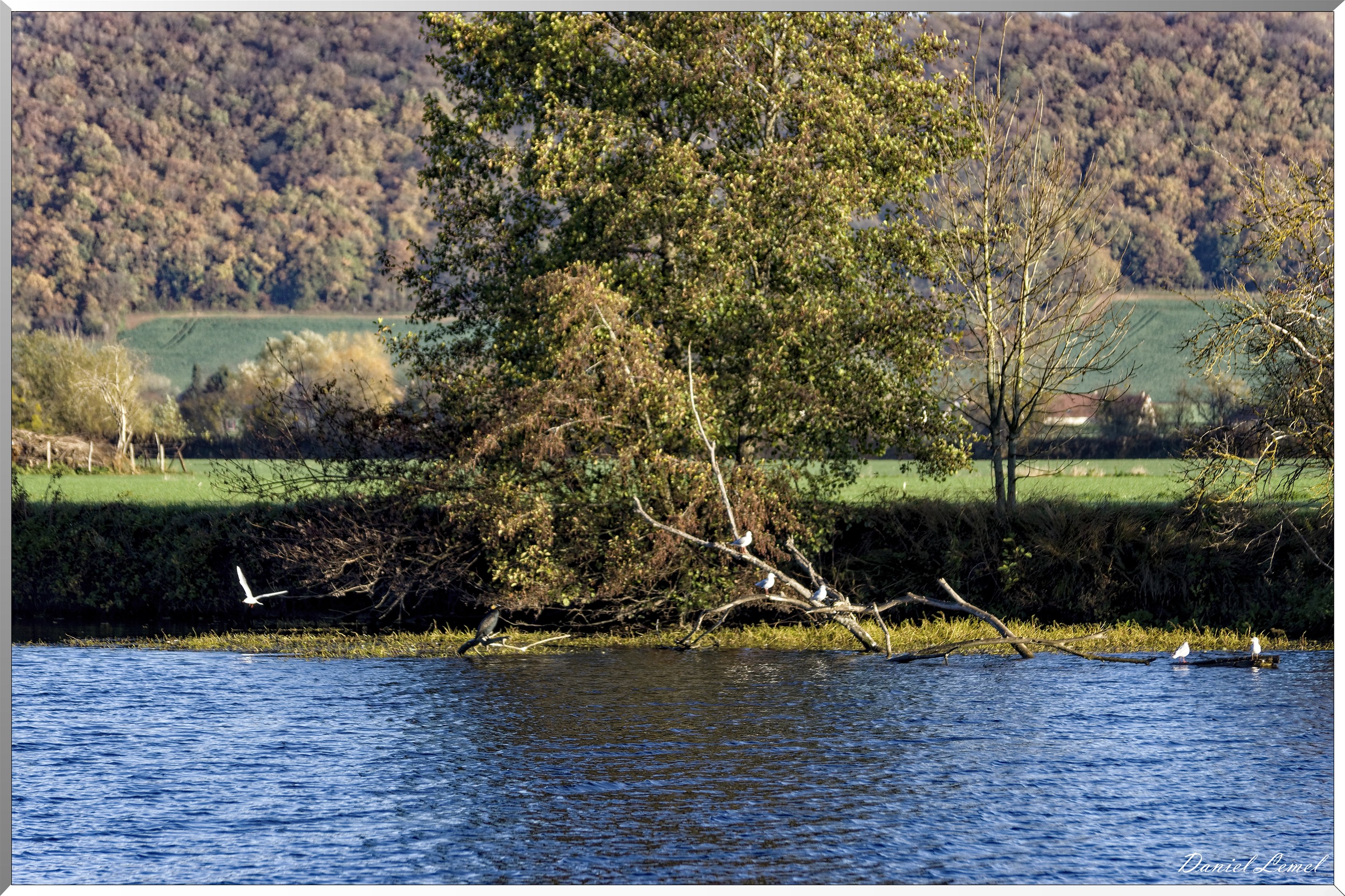 Saint-Pierre-de-Bailleul