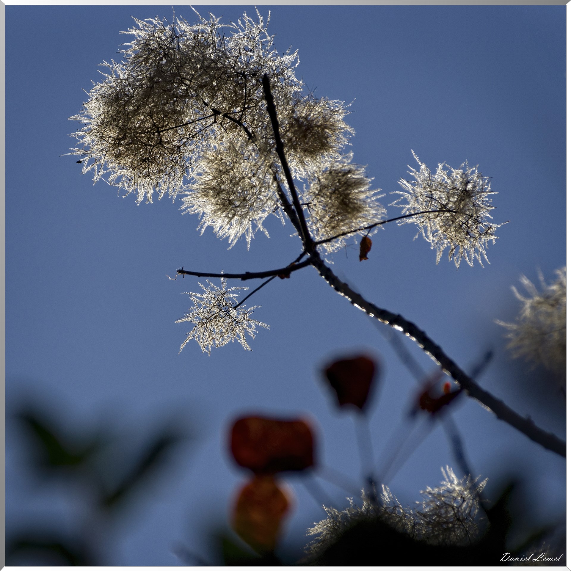 Saint-Pierre-de-Bailleul