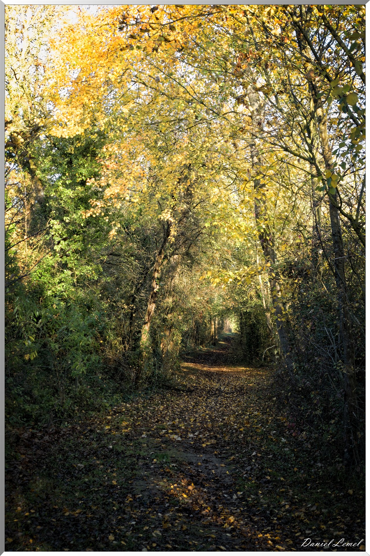 Saint-Pierre-de-Bailleul