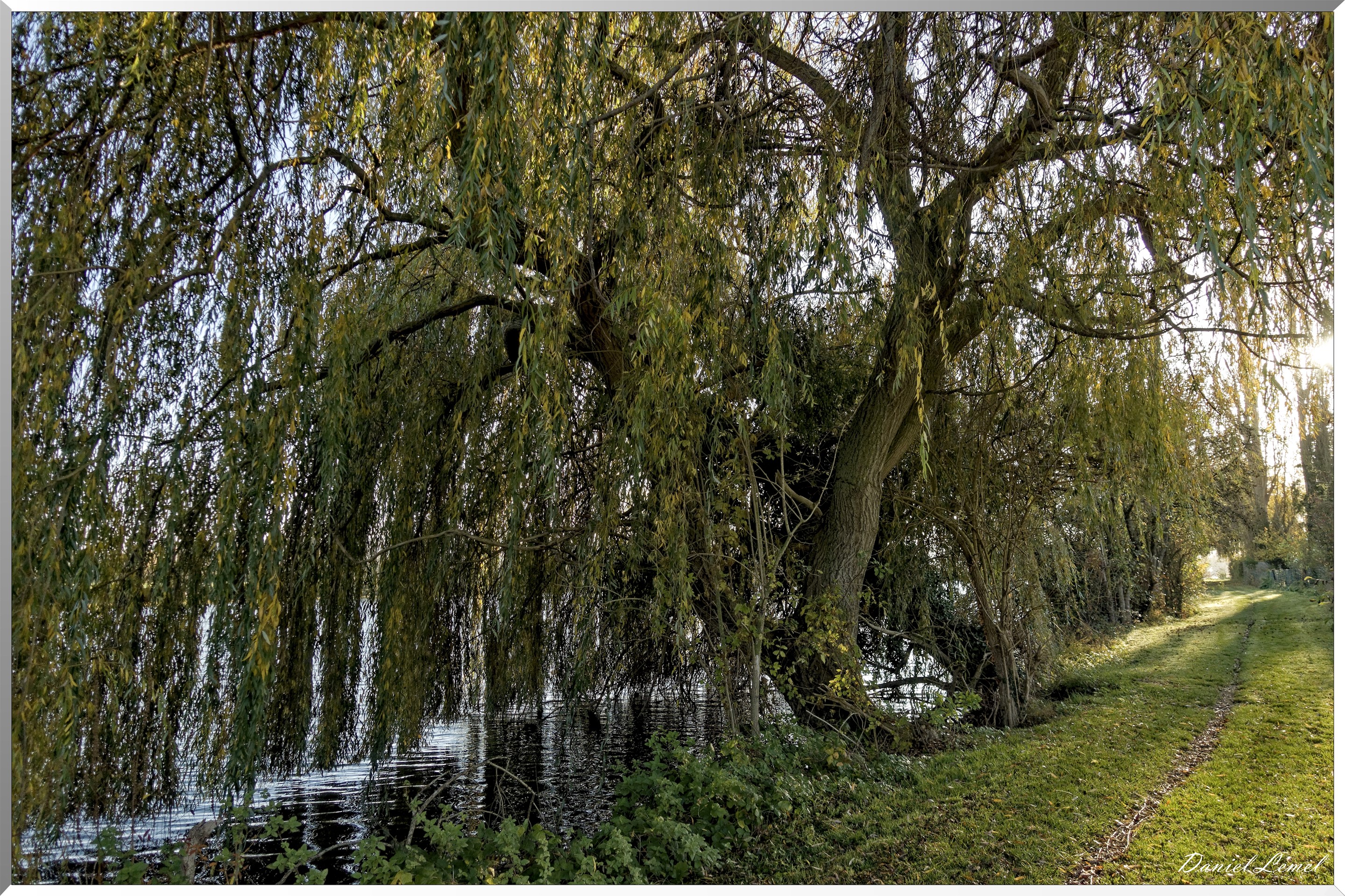 Saint-Pierre-de-Bailleul