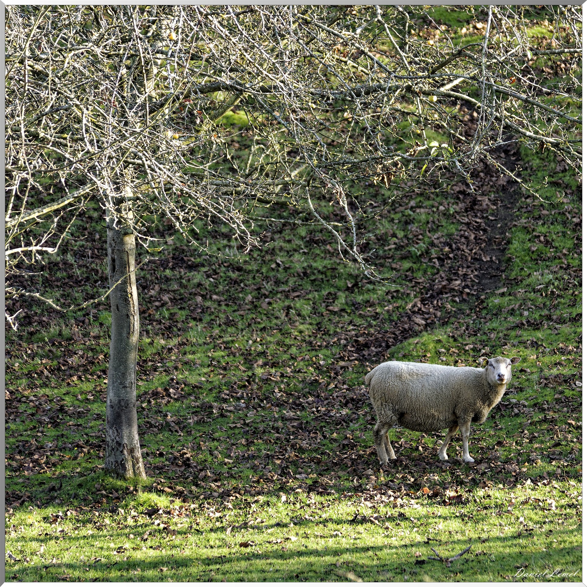 Saint-Pierre-de-Bailleul