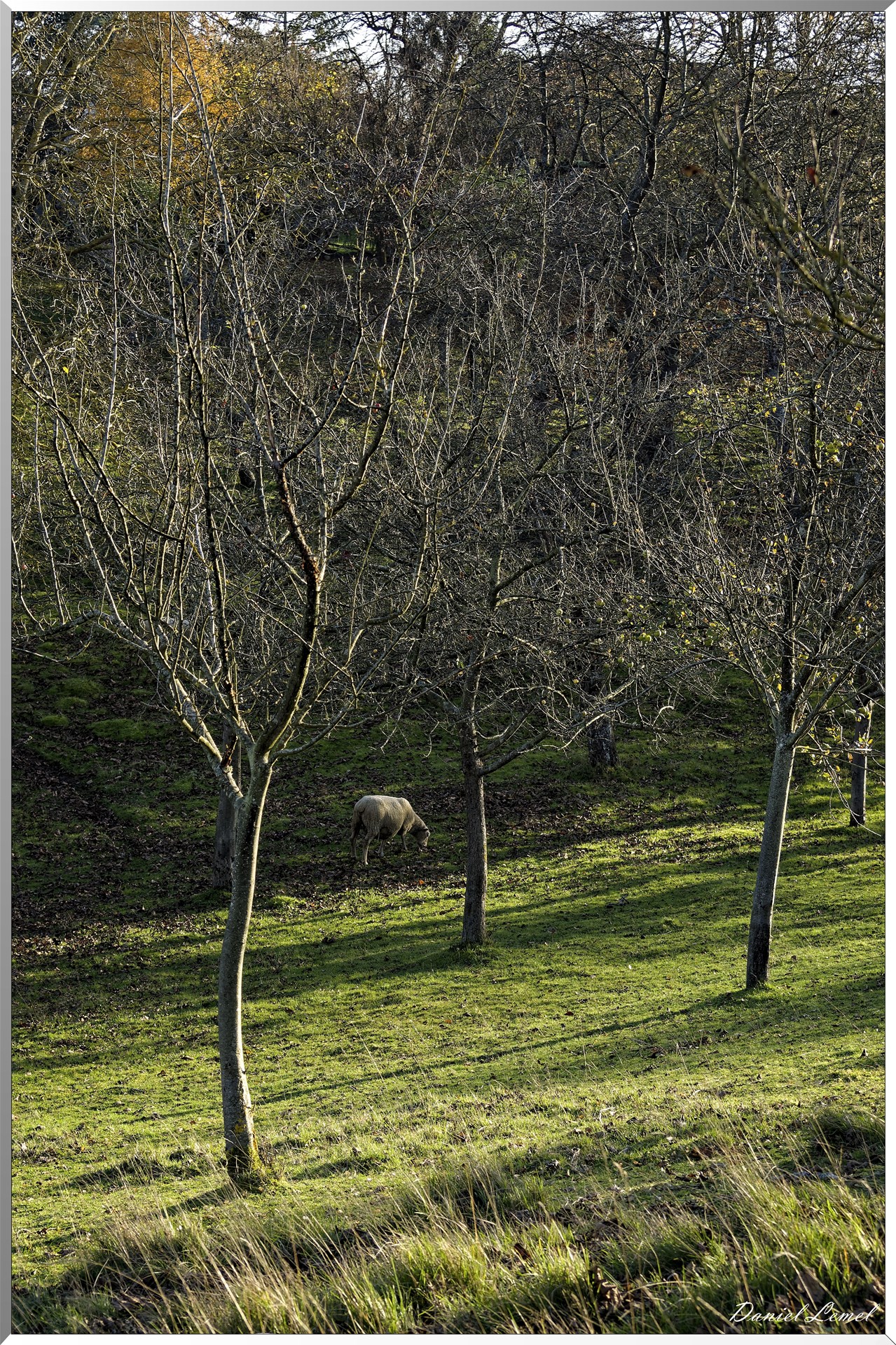 Saint-Pierre-de-Bailleul