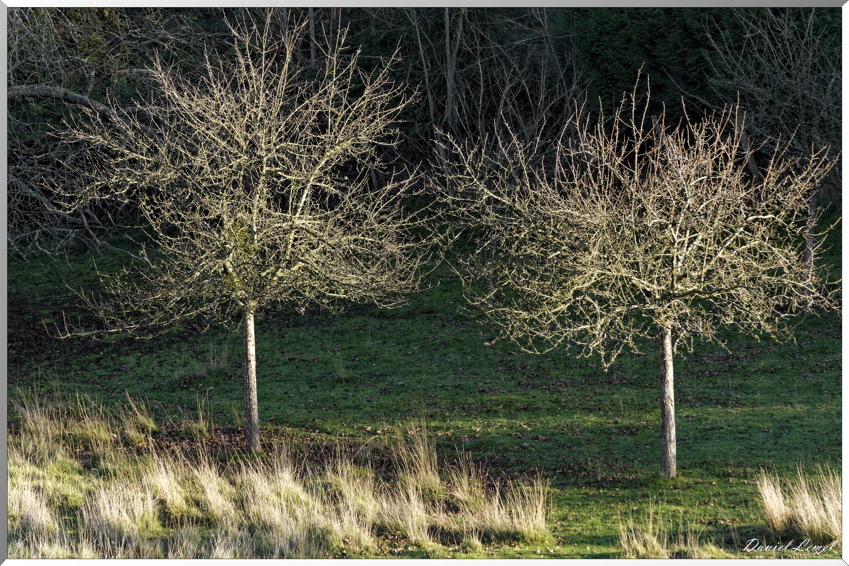 Saint-Pierre-de-Bailleul
