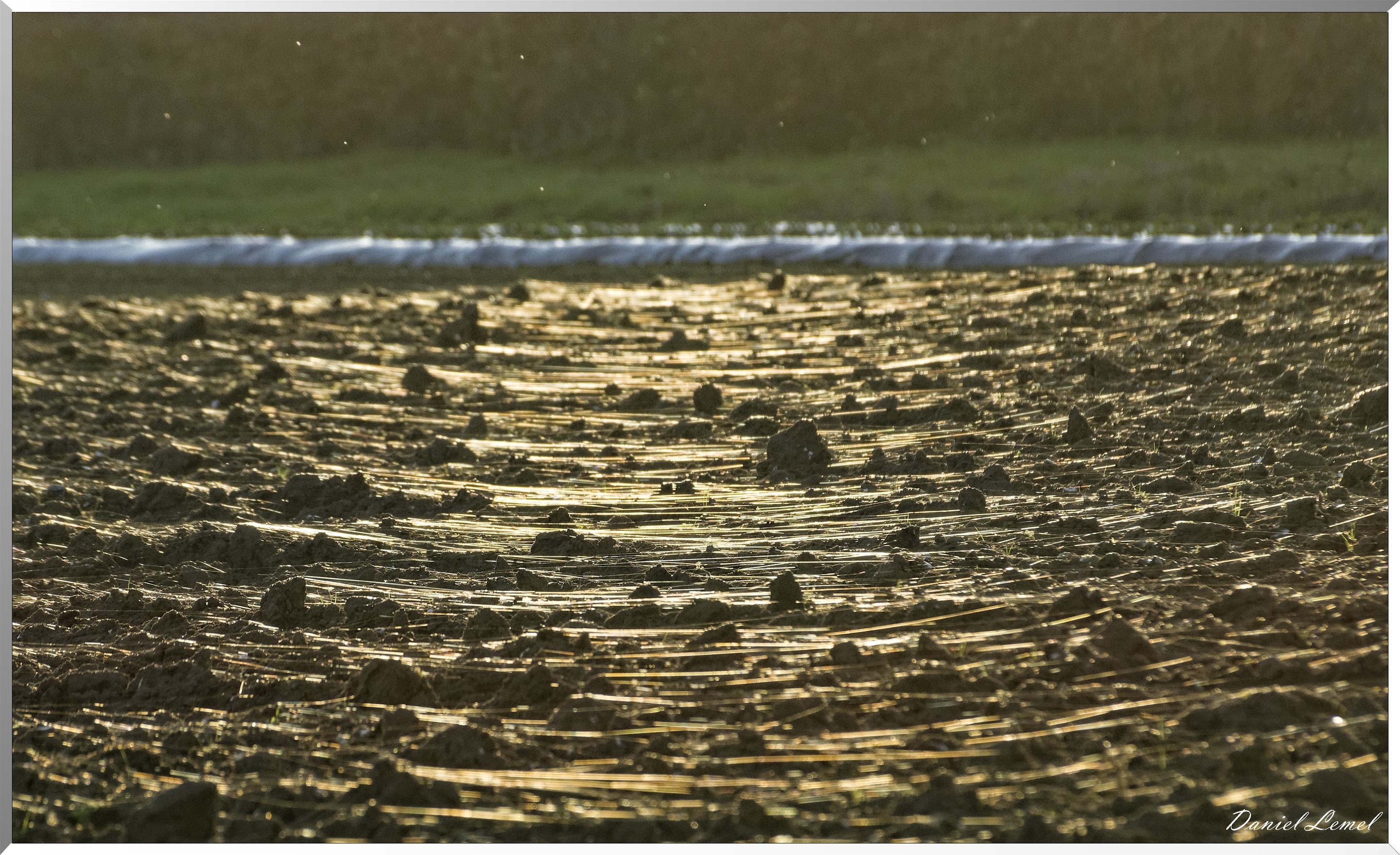 Saint-Pierre-de-Bailleul