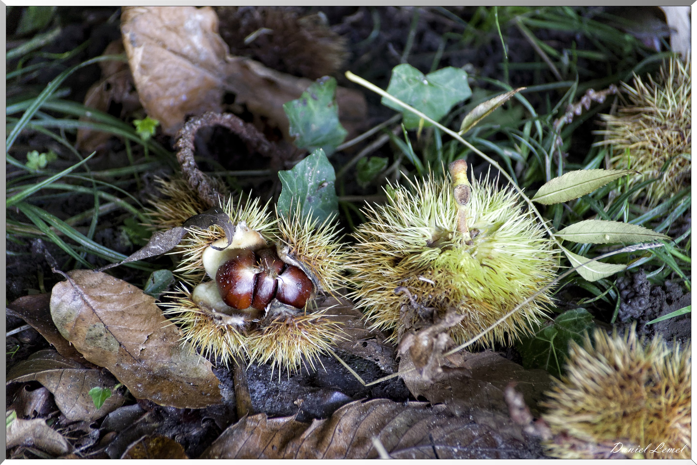 Saint-Aubin-sur-Gaillon