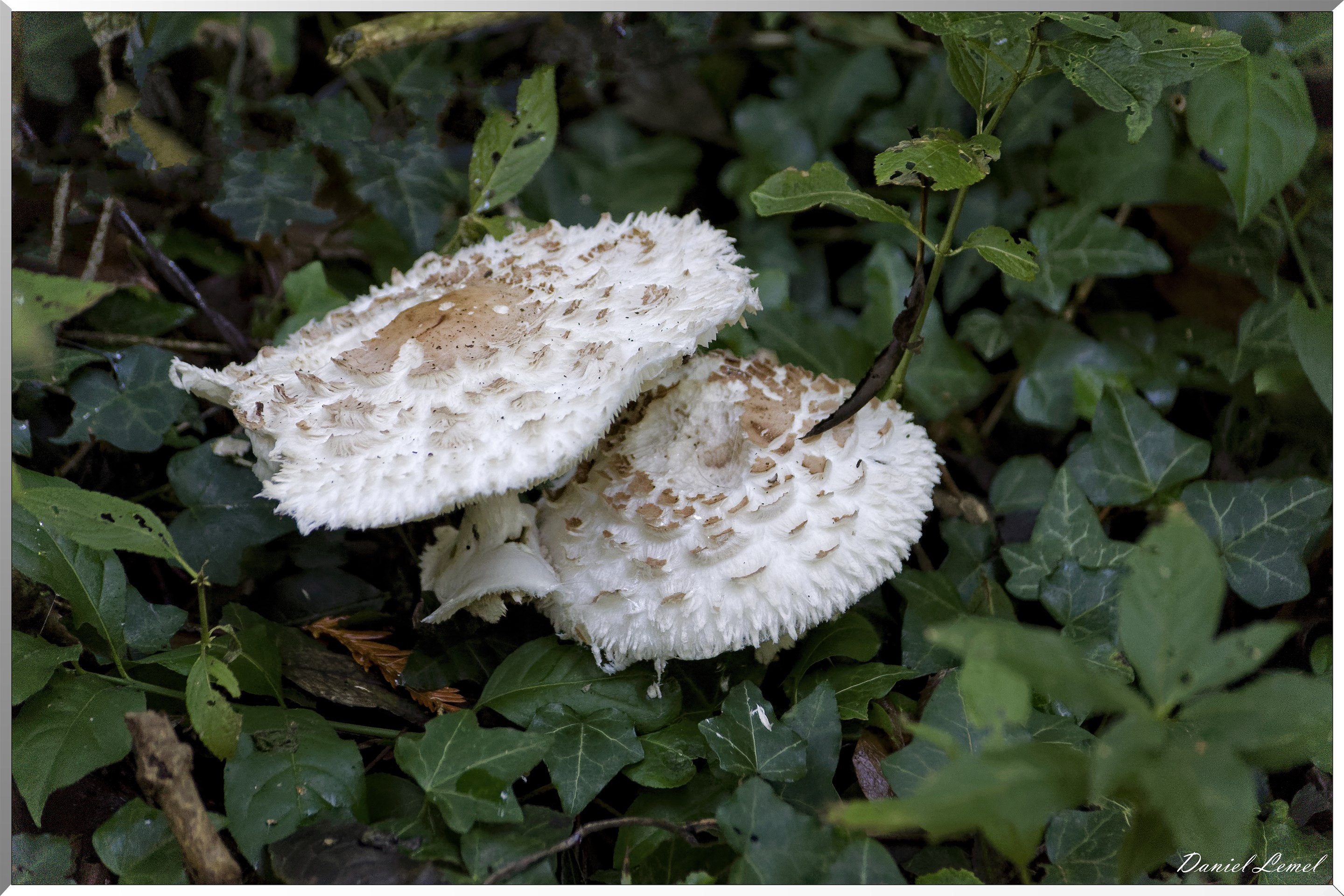 Saint-Aubin-sur-Gaillon