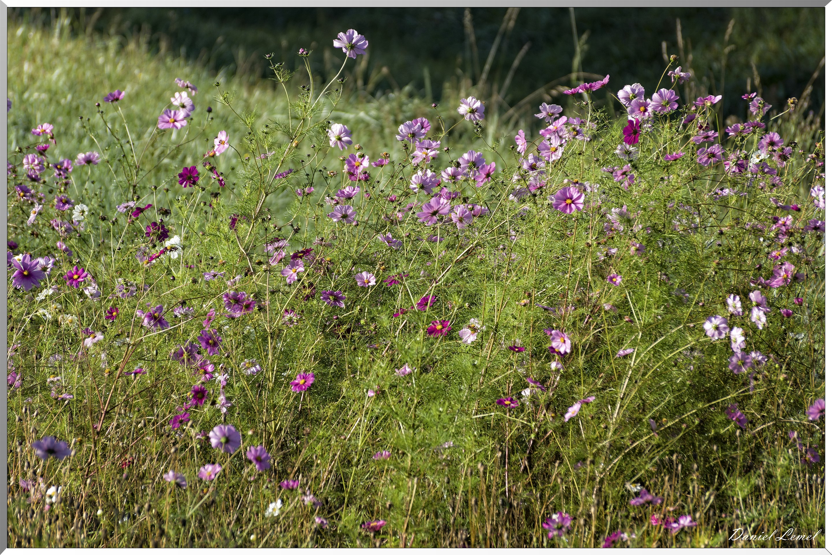 Saint-Aubin-sur-Gaillon