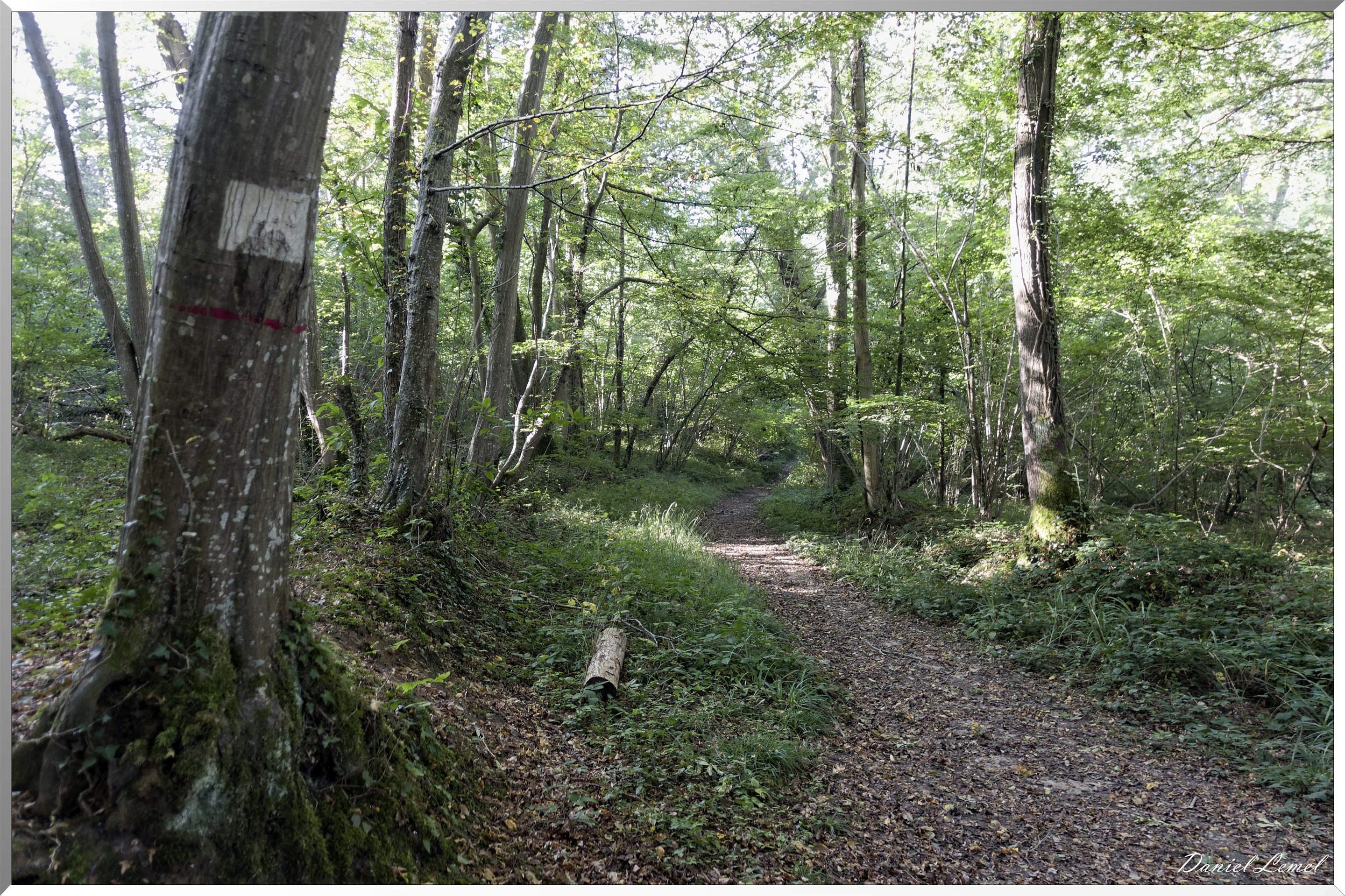 Saint-Aubin-sur-Gaillon