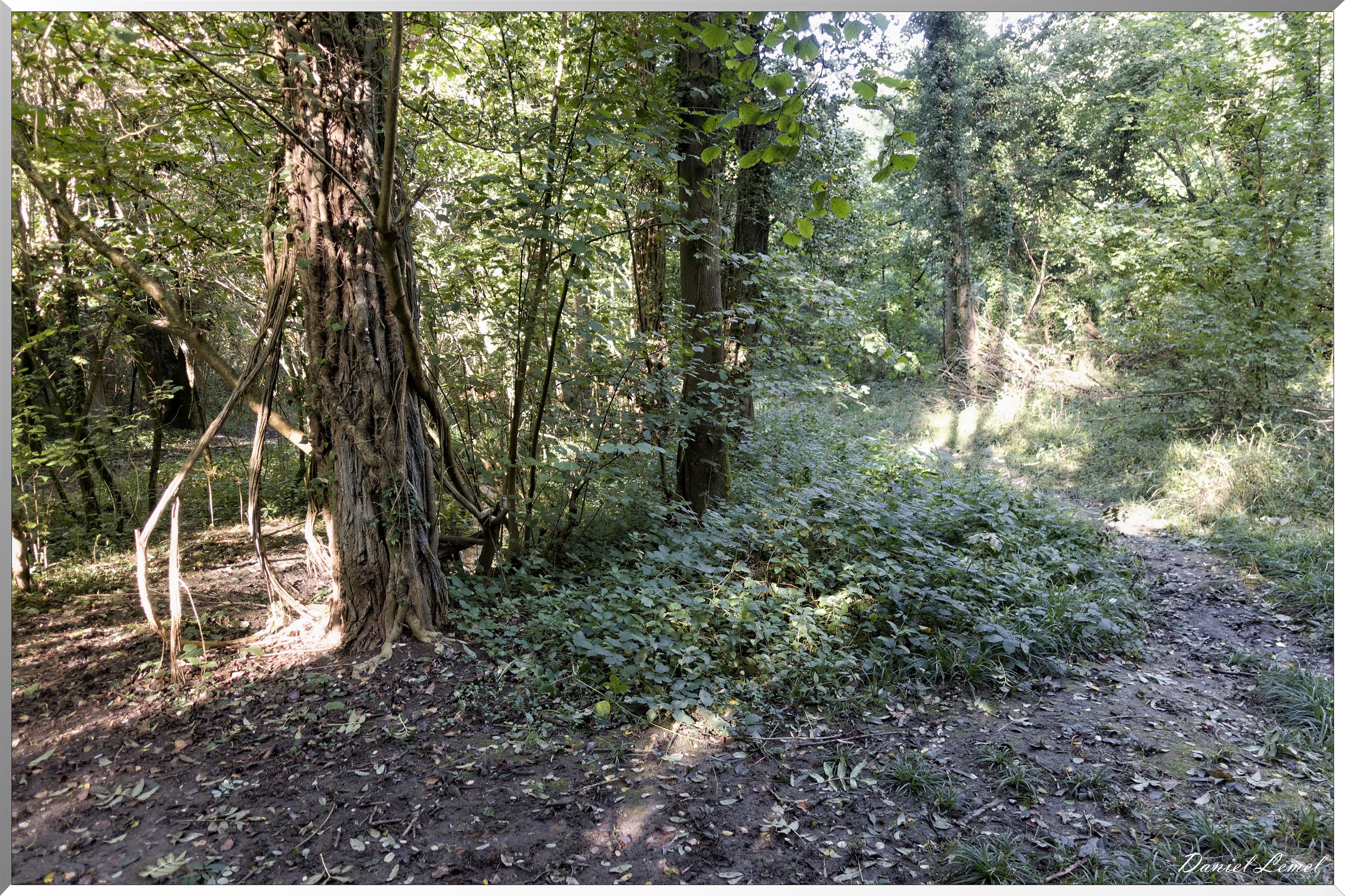 Saint-Aubin-sur-Gaillon