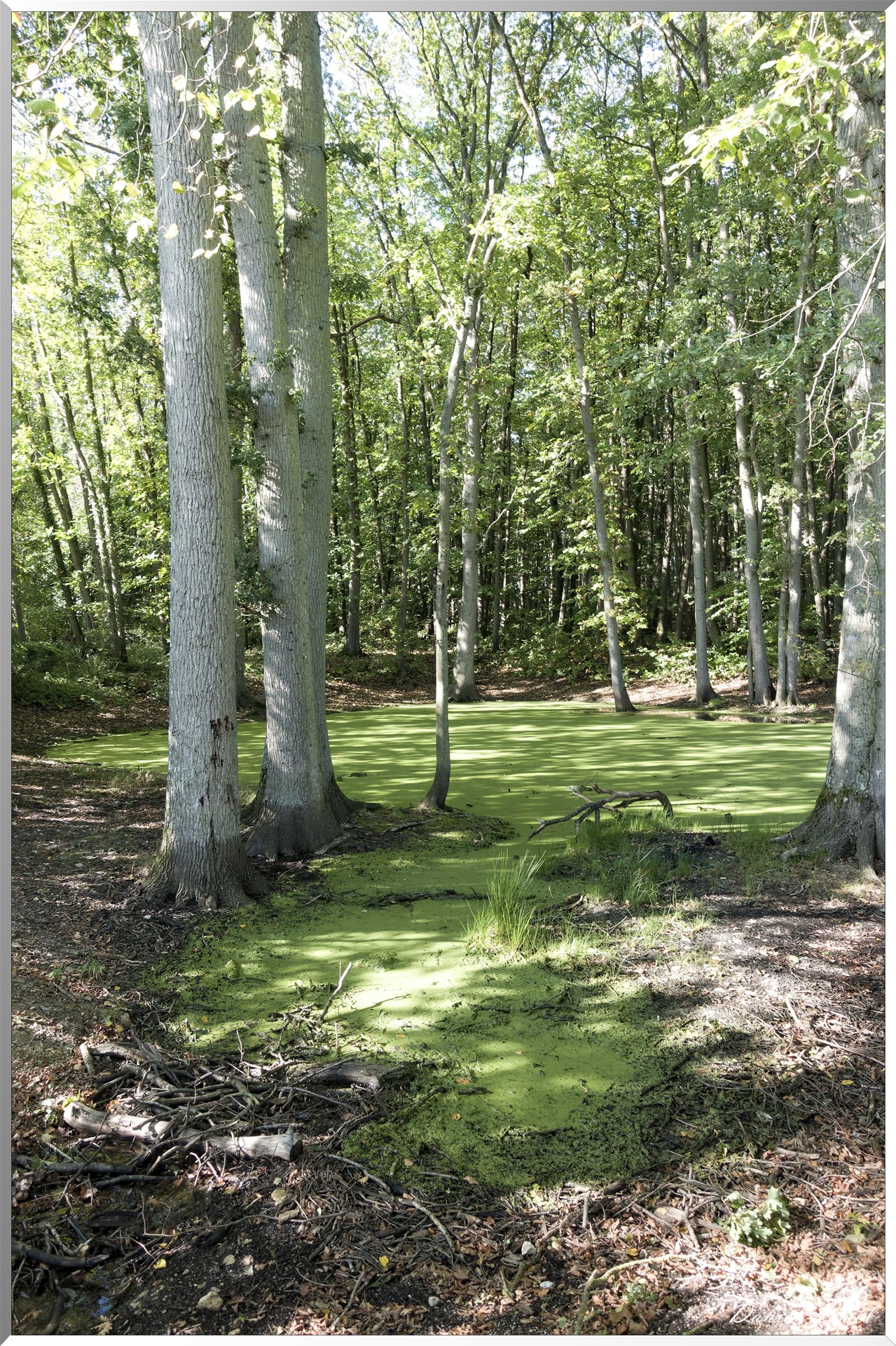 Saint-Aubin-sur-Gaillon