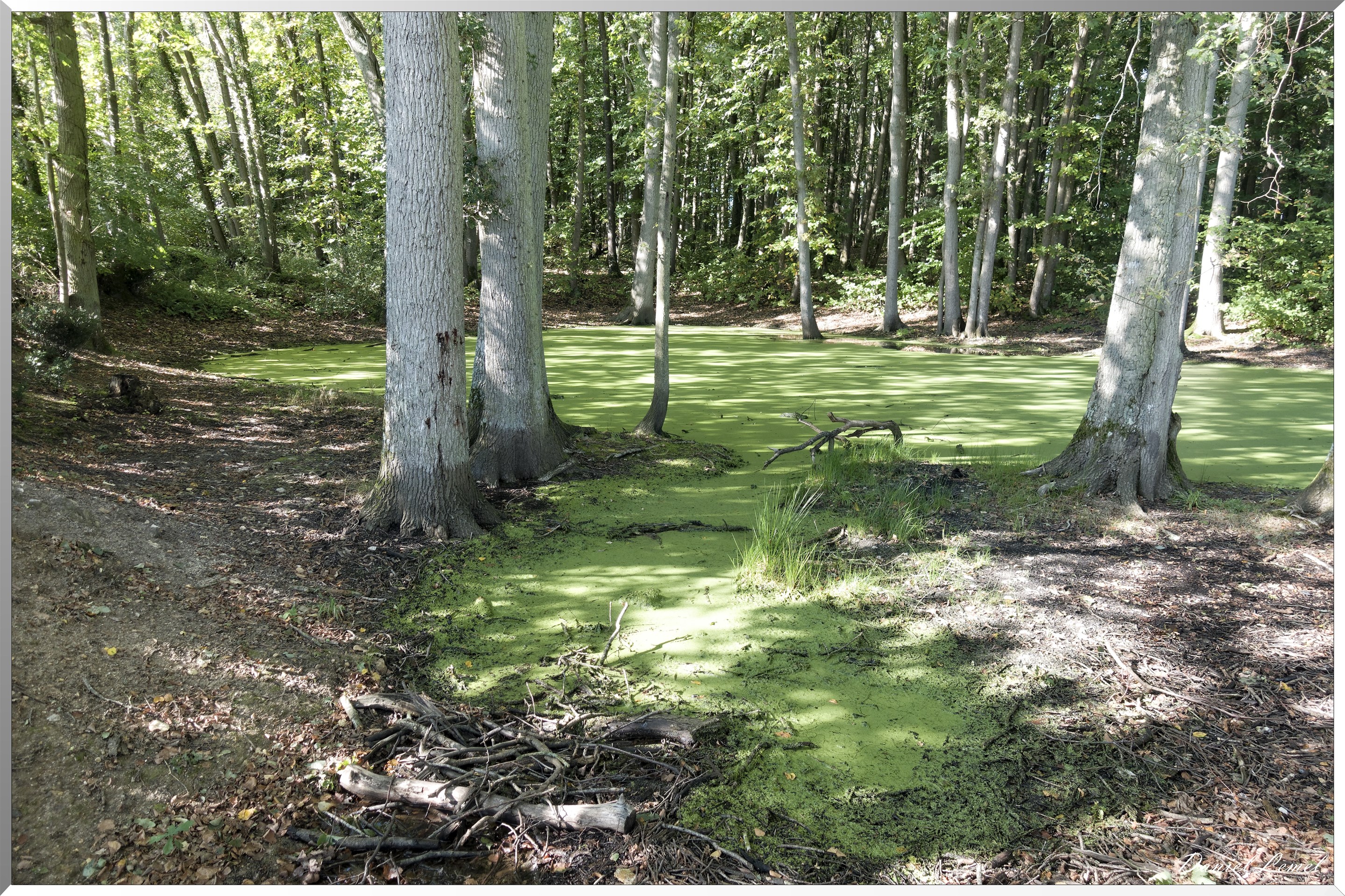 Saint-Aubin-sur-Gaillon