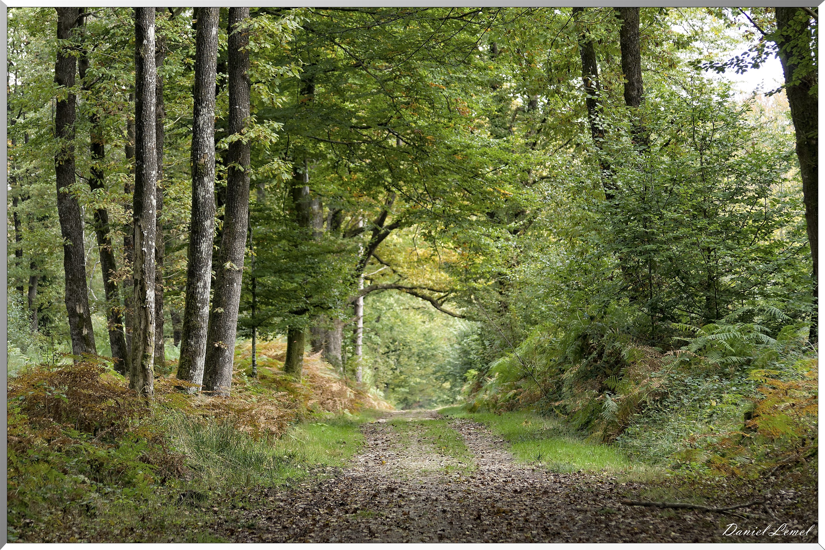 St-Evroult-Notre-Dame-du-Bois