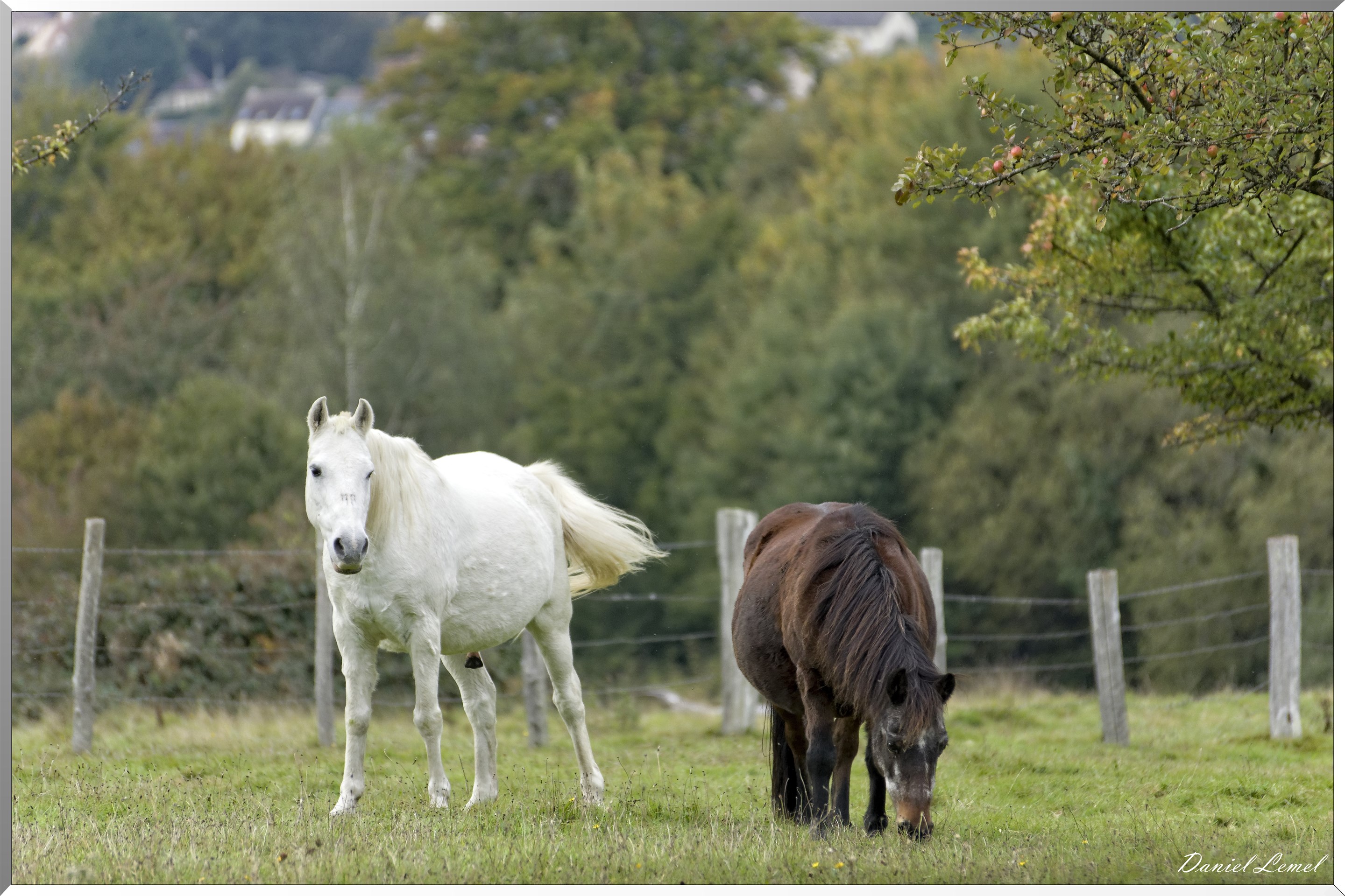 St-Evroult-Notre-Dame-du-Bois