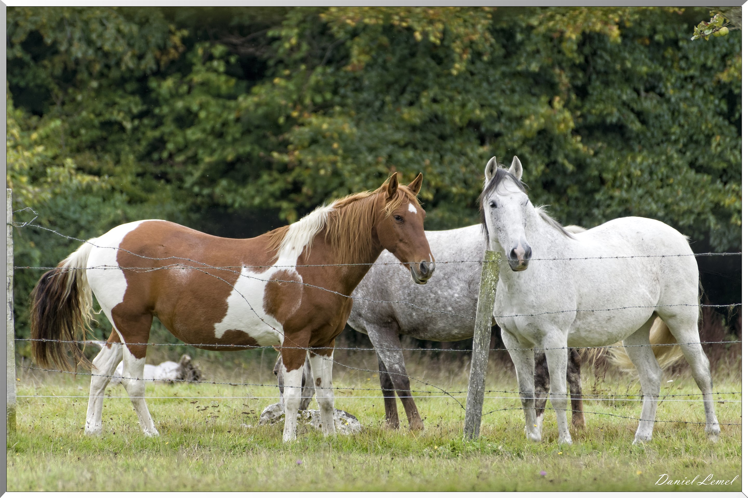 St-Evroult-Notre-Dame-du-Bois