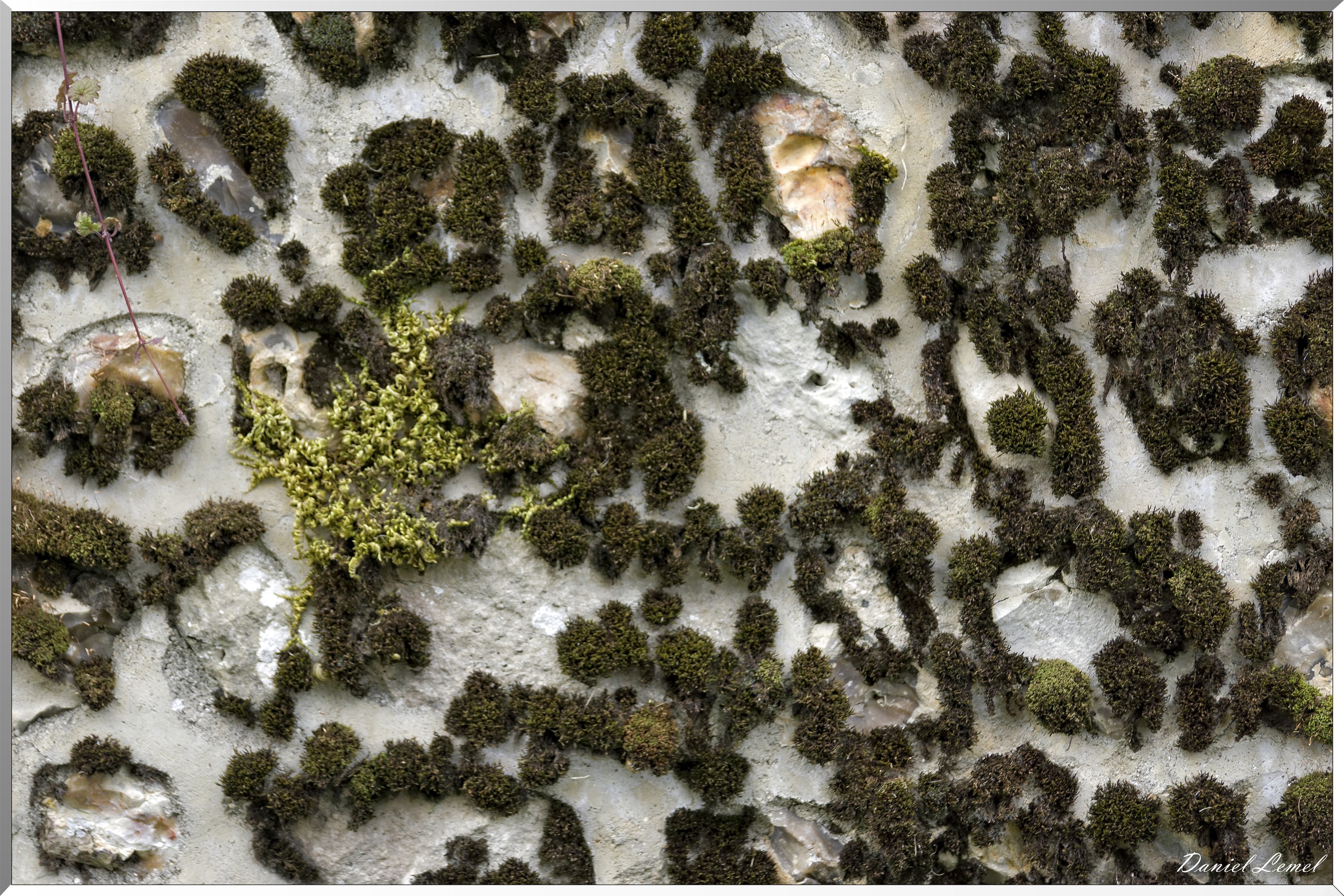 St-Evroult-Notre-Dame-du-Bois