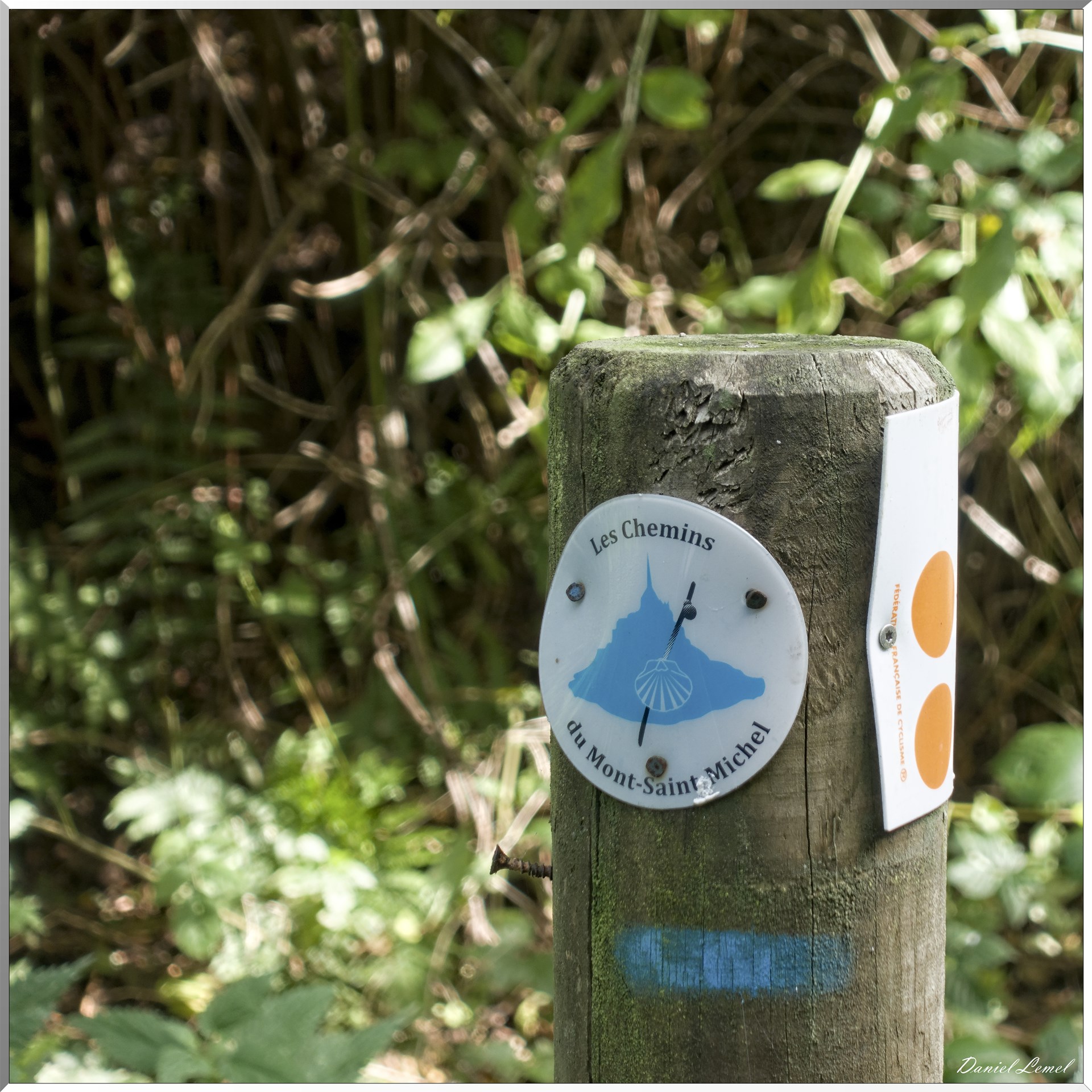 St-Evroult-Notre-Dame-du-Bois