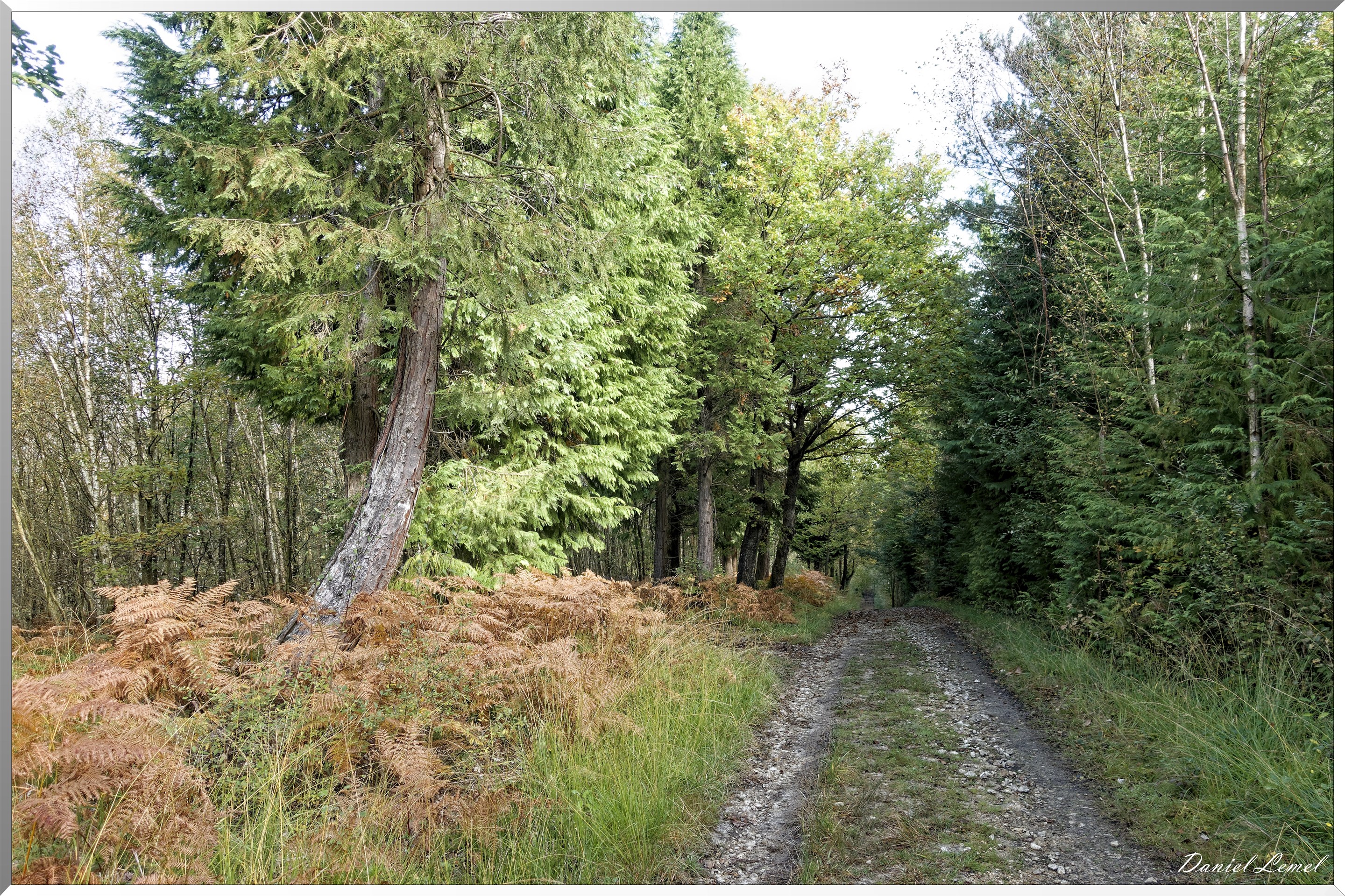 St-Evroult-Notre-Dame-du-Bois