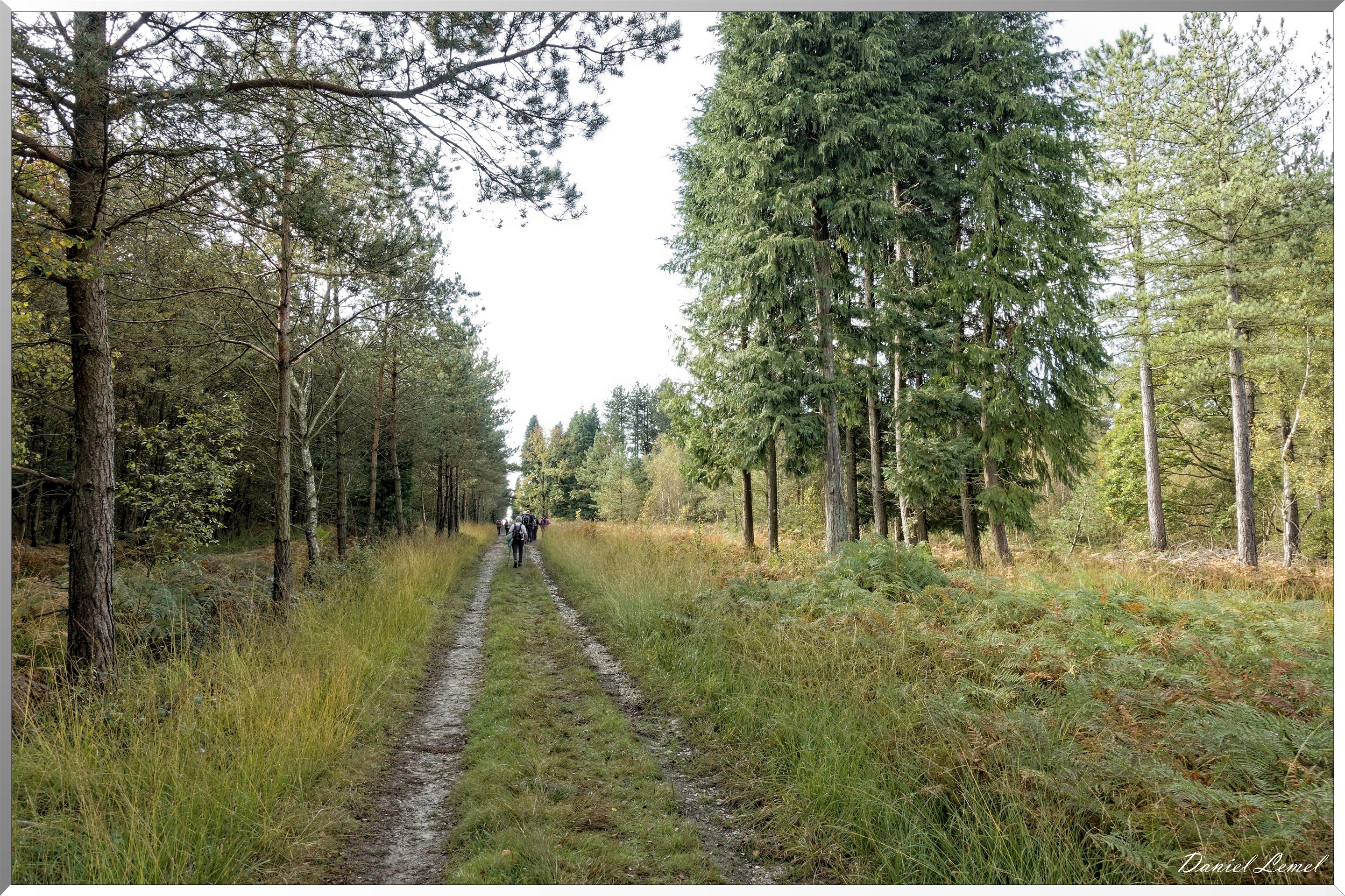 St-Evroult-Notre-Dame-du-Bois