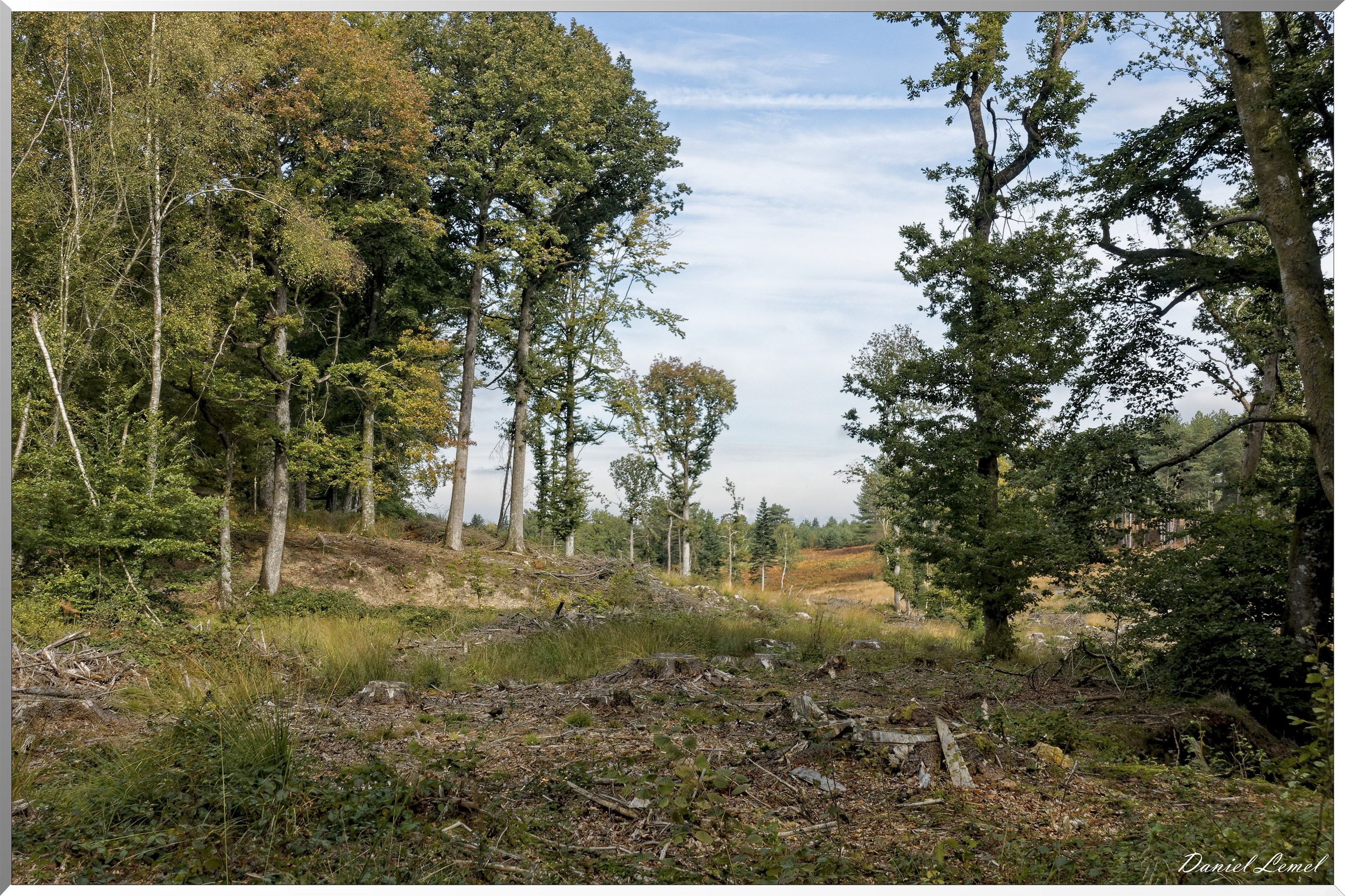 St-Evroult-Notre-Dame-du-Bois