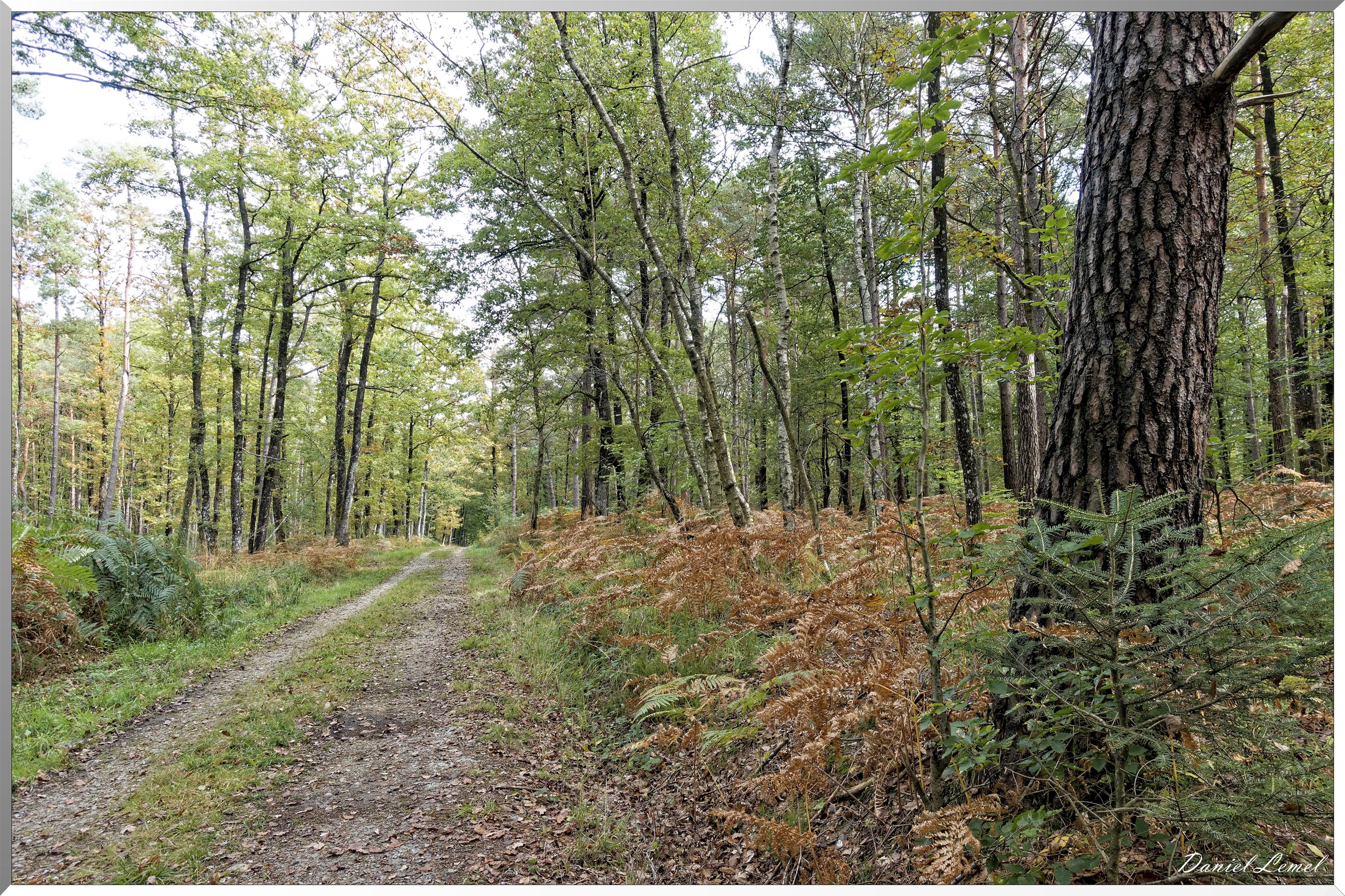 St-Evroult-Notre-Dame-du-Bois