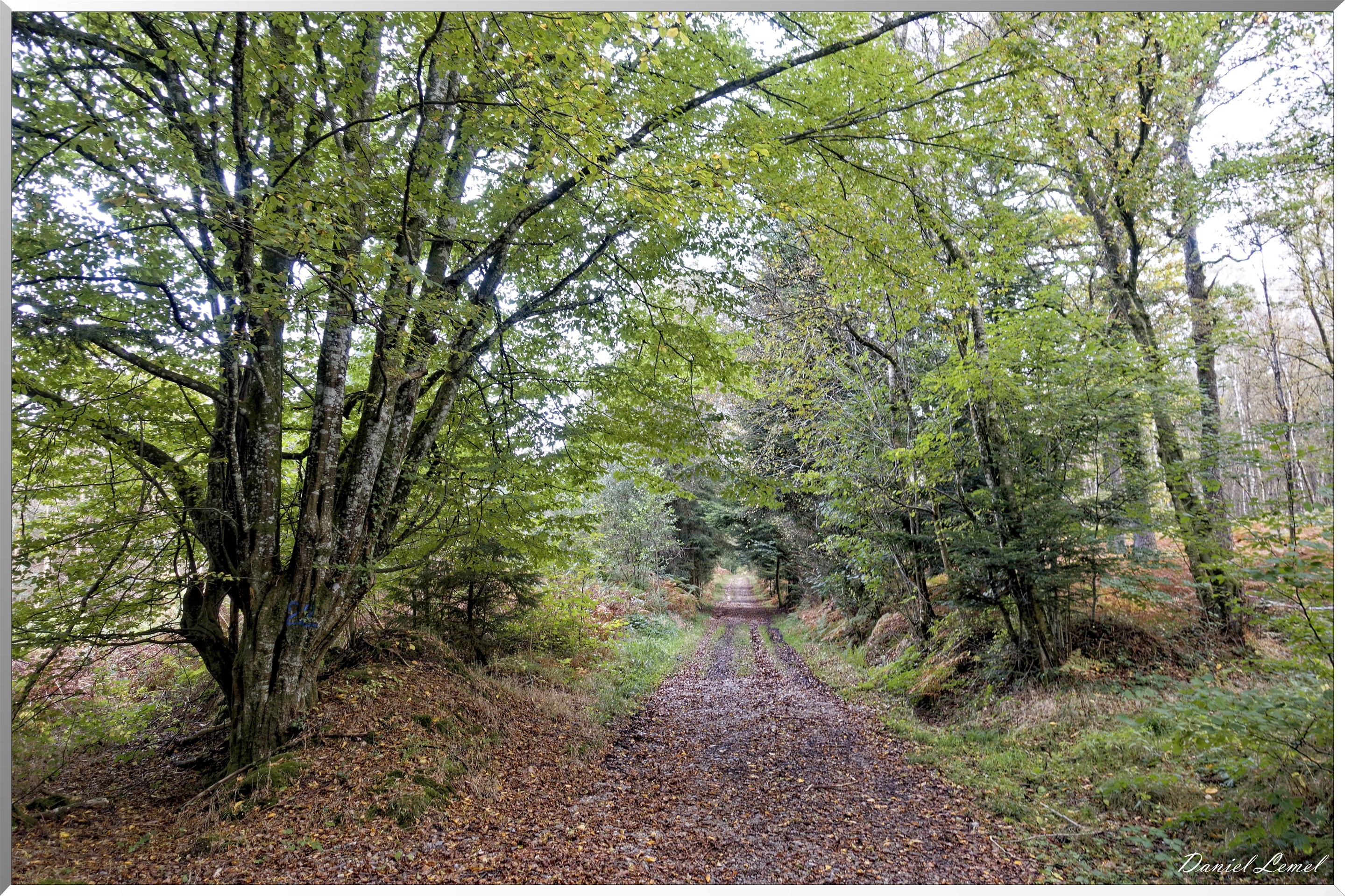 St-Evroult-Notre-Dame-du-Bois