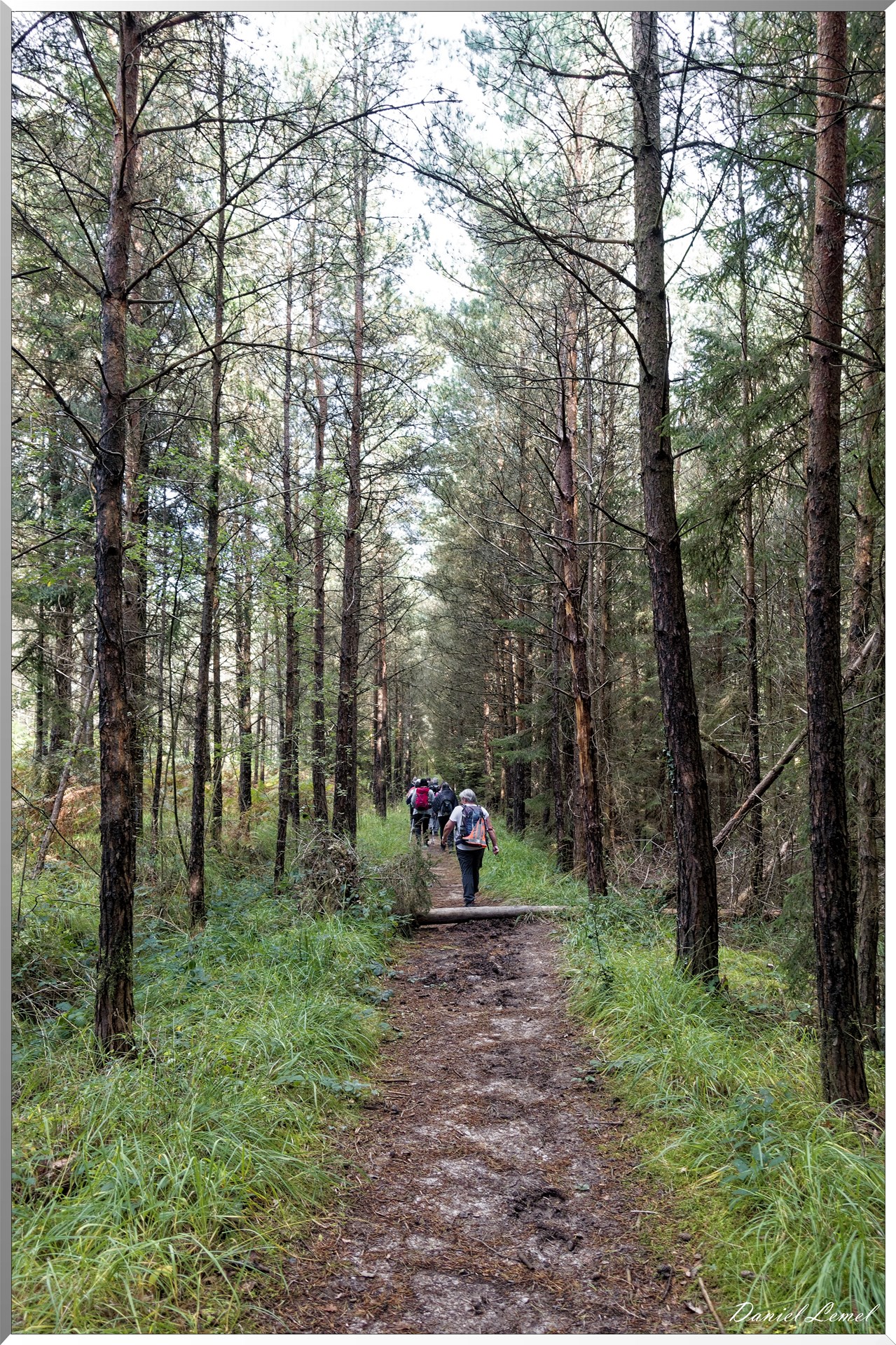 St-Evroult-Notre-Dame-du-Bois