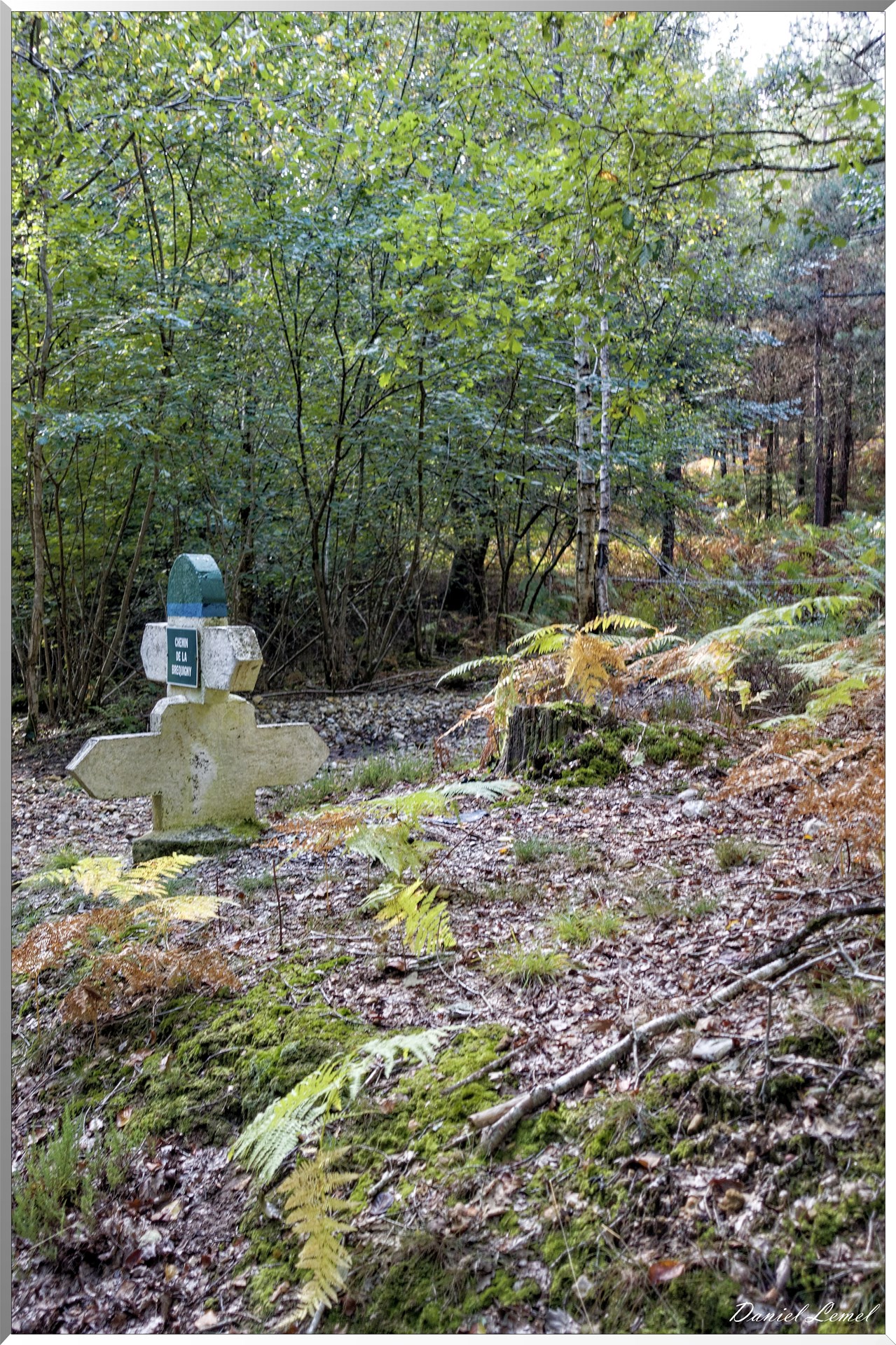 St-Evroult-Notre-Dame-du-Bois